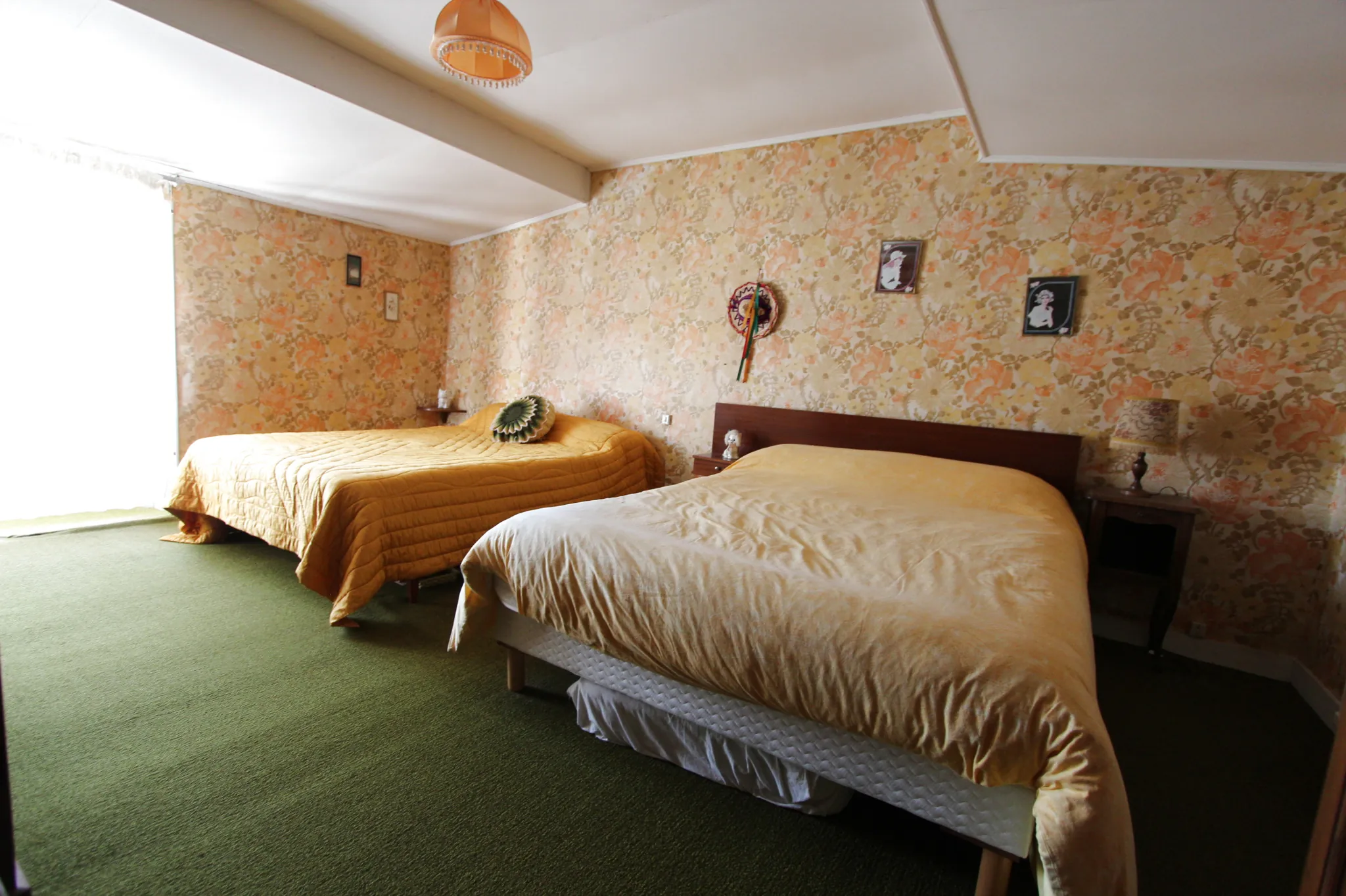 Maison à rénover avec grand jardin à Benet, Marais Poitevin 