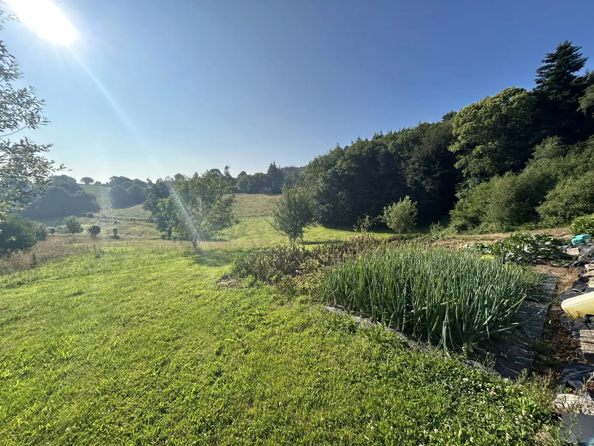 Maison de Village avec Grand Terrain à Quistinic - Vue Dégagée, Calme et Spacieux 