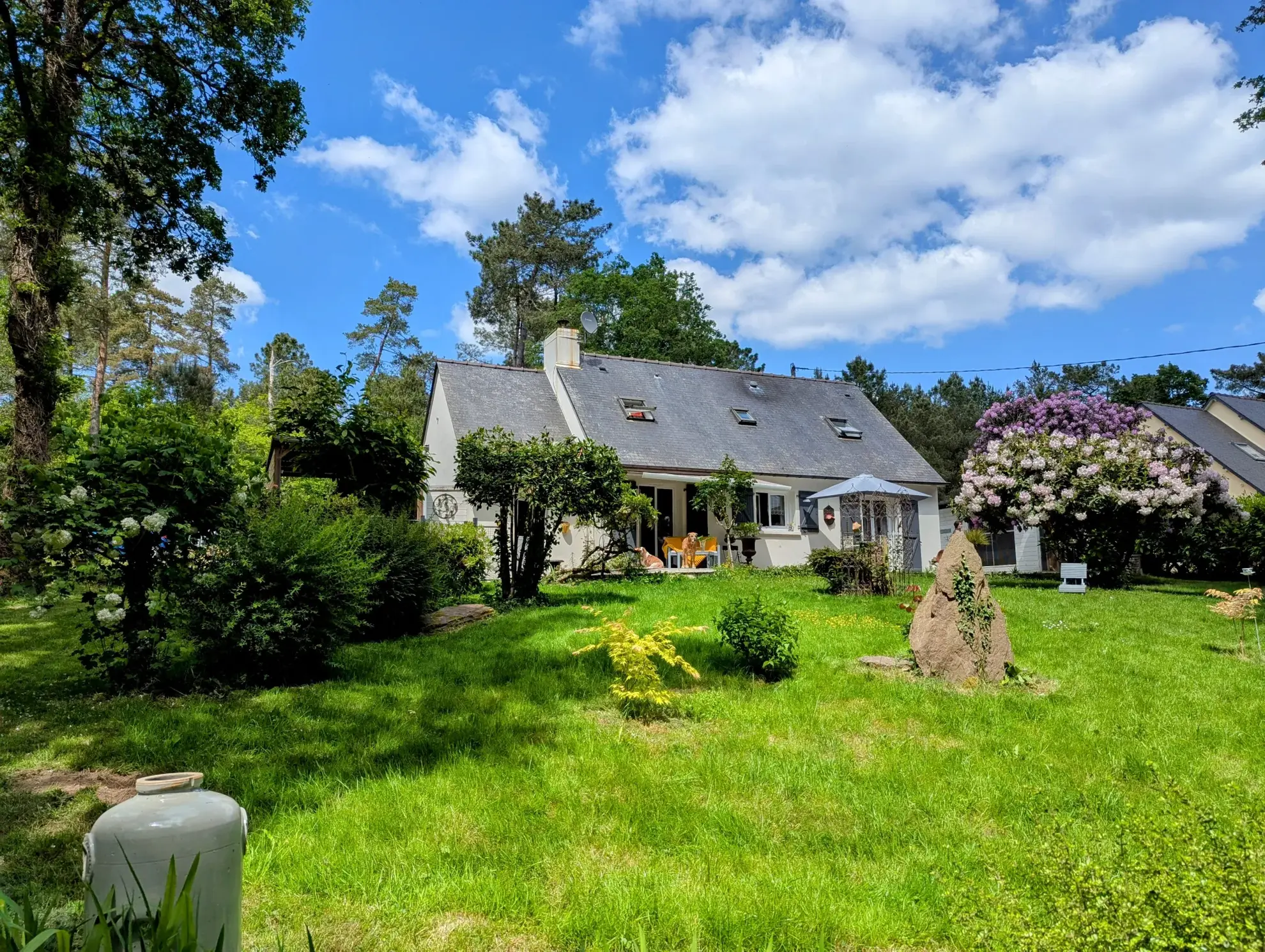 Maison à vendre en forêt de Brocéliande avec dépendances et terrain arboré 
