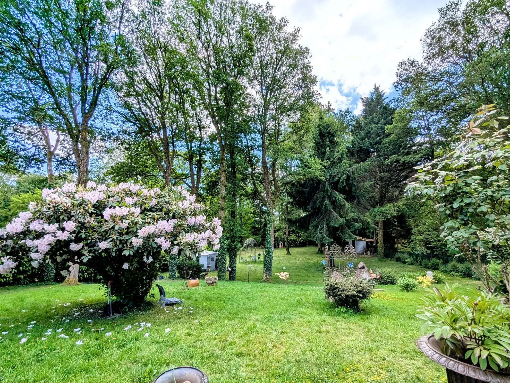 Maison à vendre en forêt de Brocéliande avec dépendances et terrain arboré 
