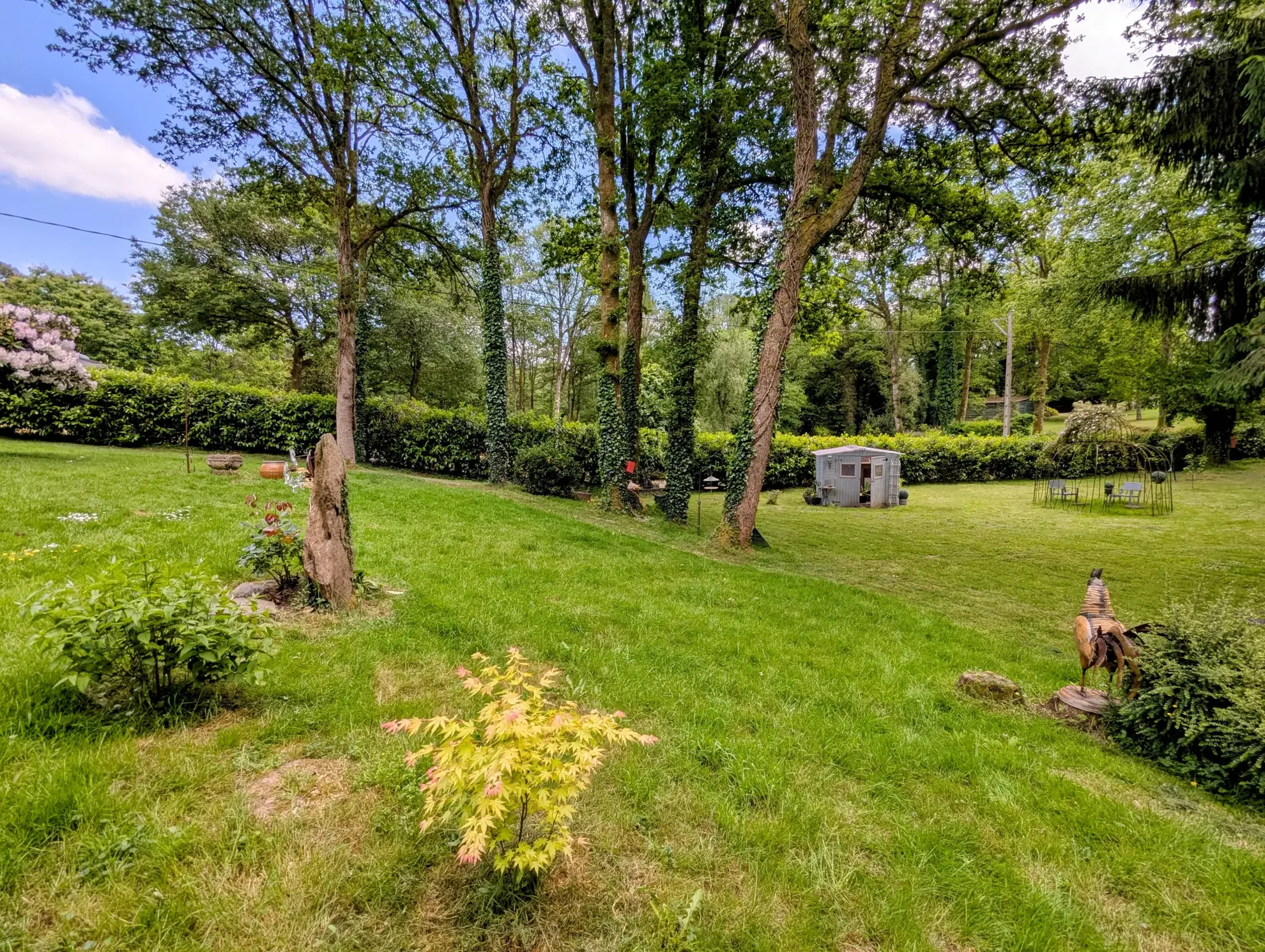 Maison à vendre en forêt de Brocéliande avec dépendances et terrain arboré 