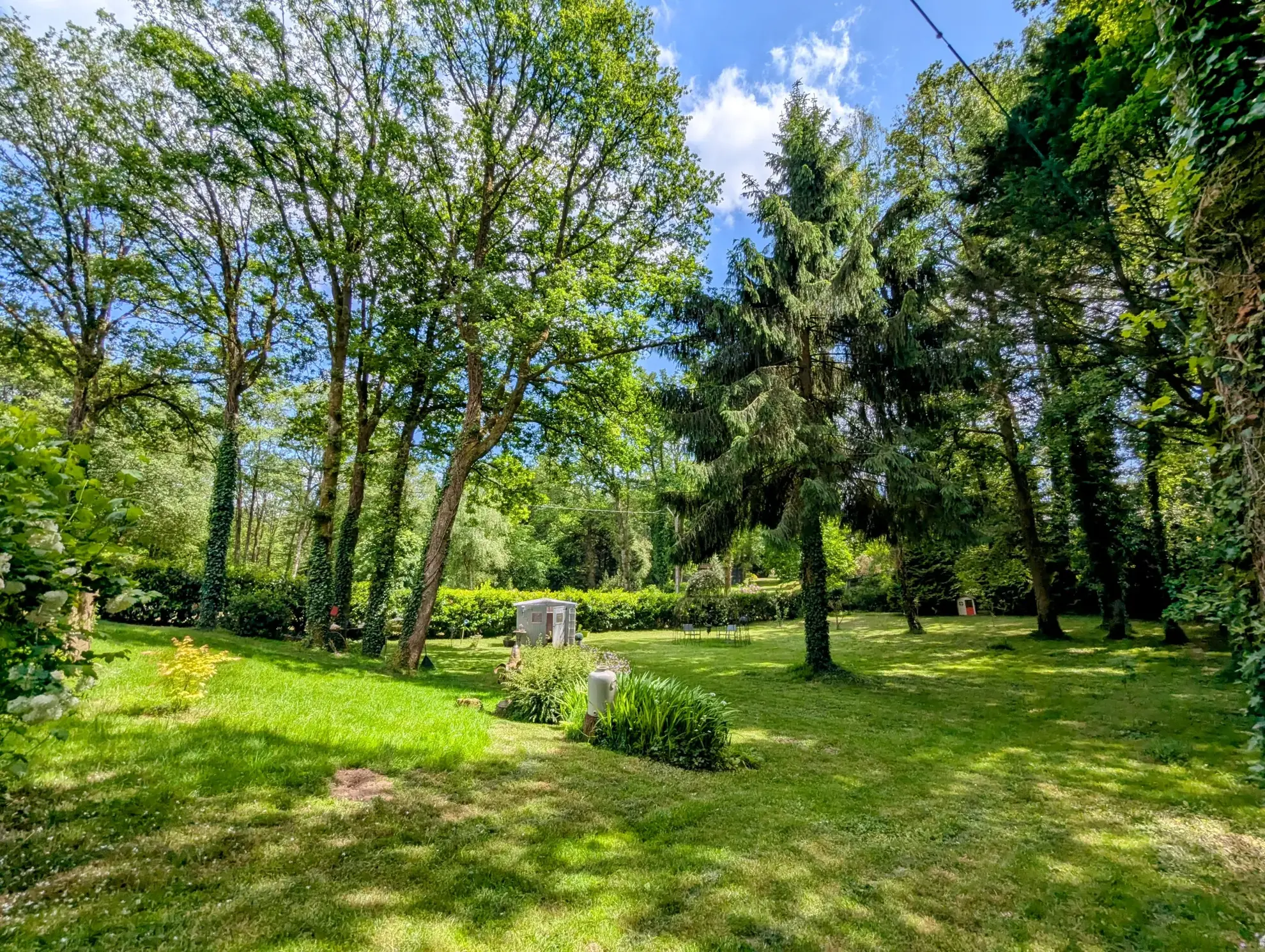 Maison à vendre en forêt de Brocéliande avec dépendances et terrain arboré 
