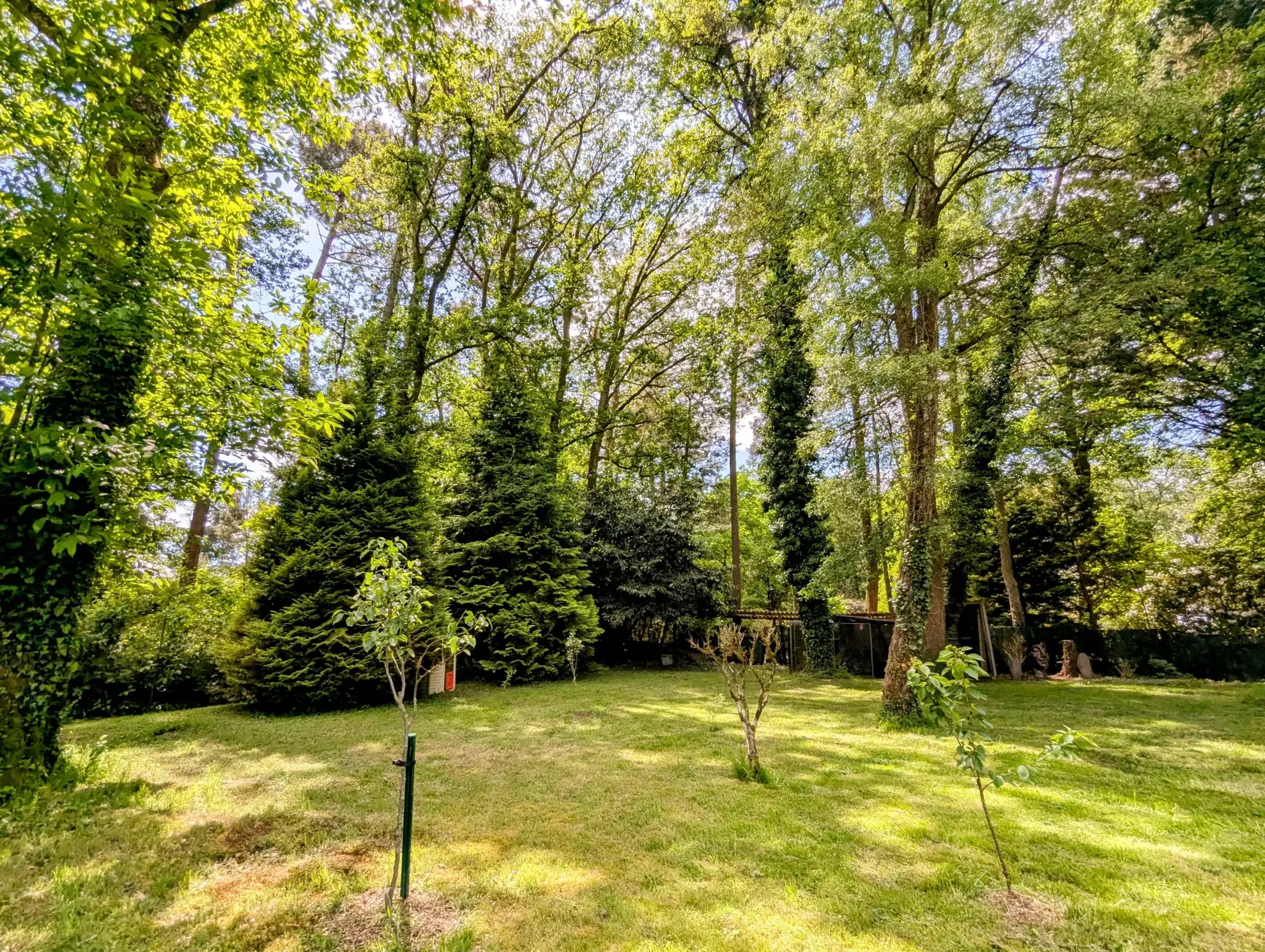 Maison à vendre en forêt de Brocéliande avec dépendances et terrain arboré 