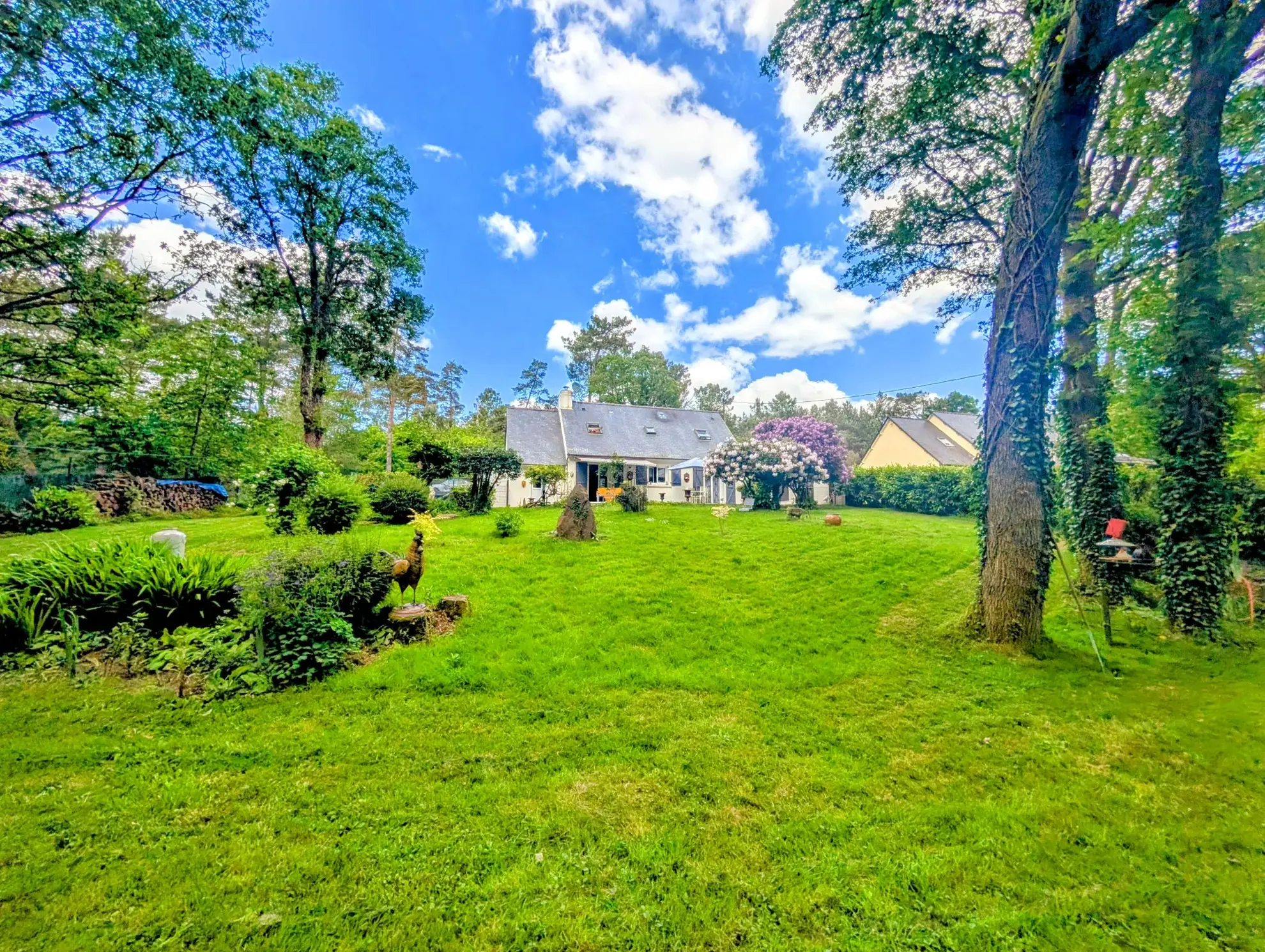 Maison à vendre en forêt de Brocéliande avec dépendances et terrain arboré 