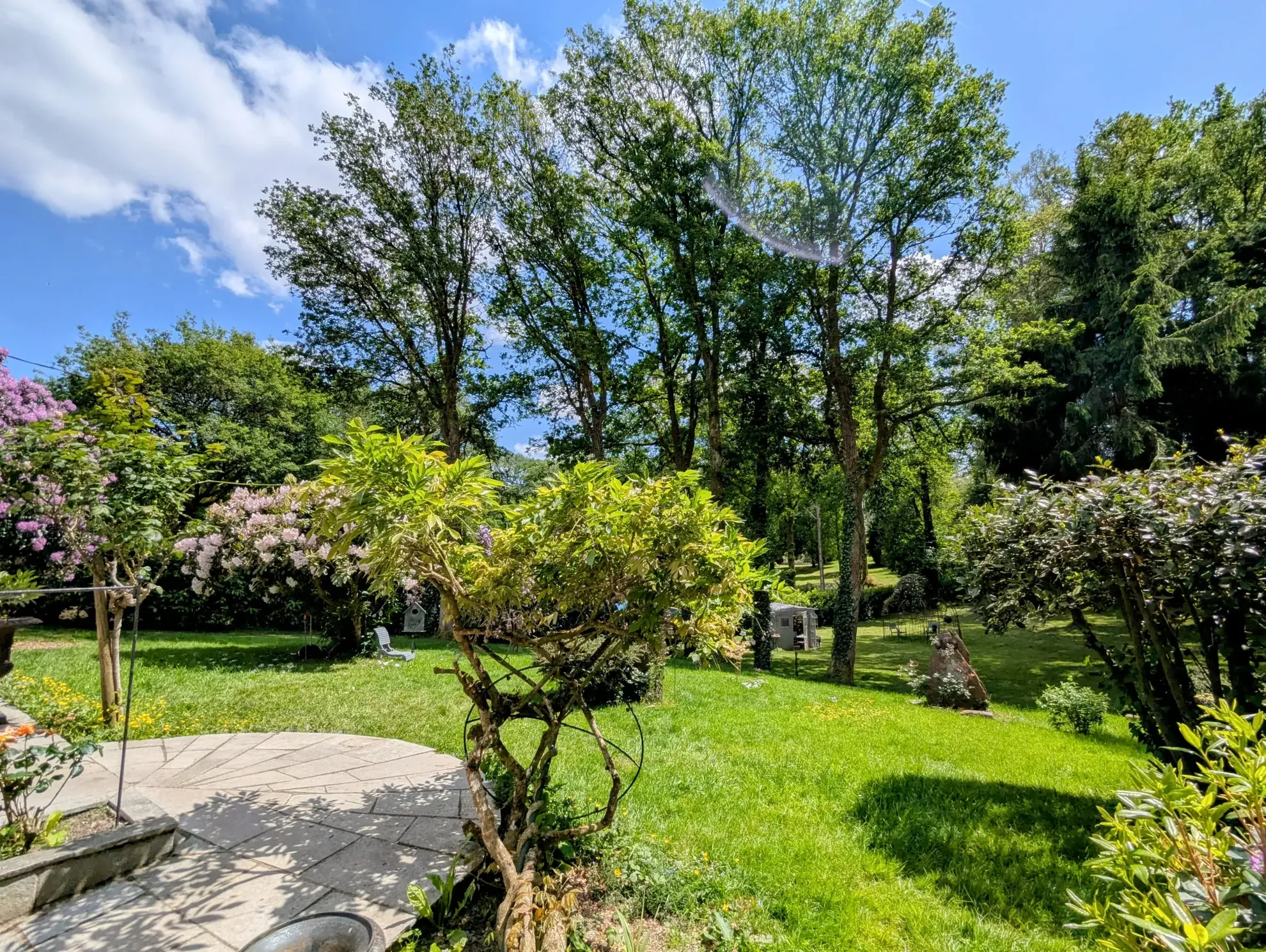 Maison à vendre en forêt de Brocéliande avec dépendances et terrain arboré 