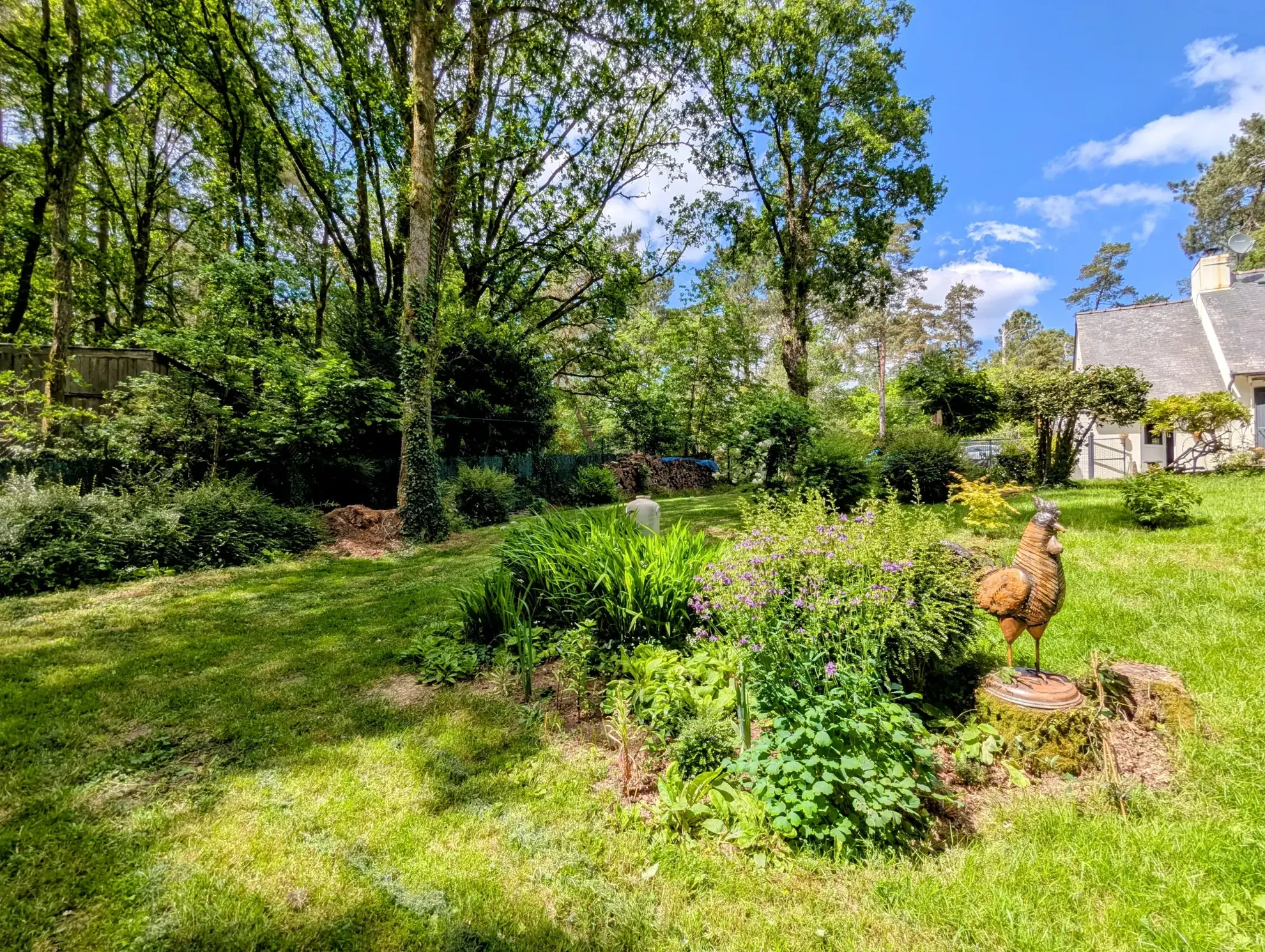 Maison à vendre en forêt de Brocéliande avec dépendances et terrain arboré 