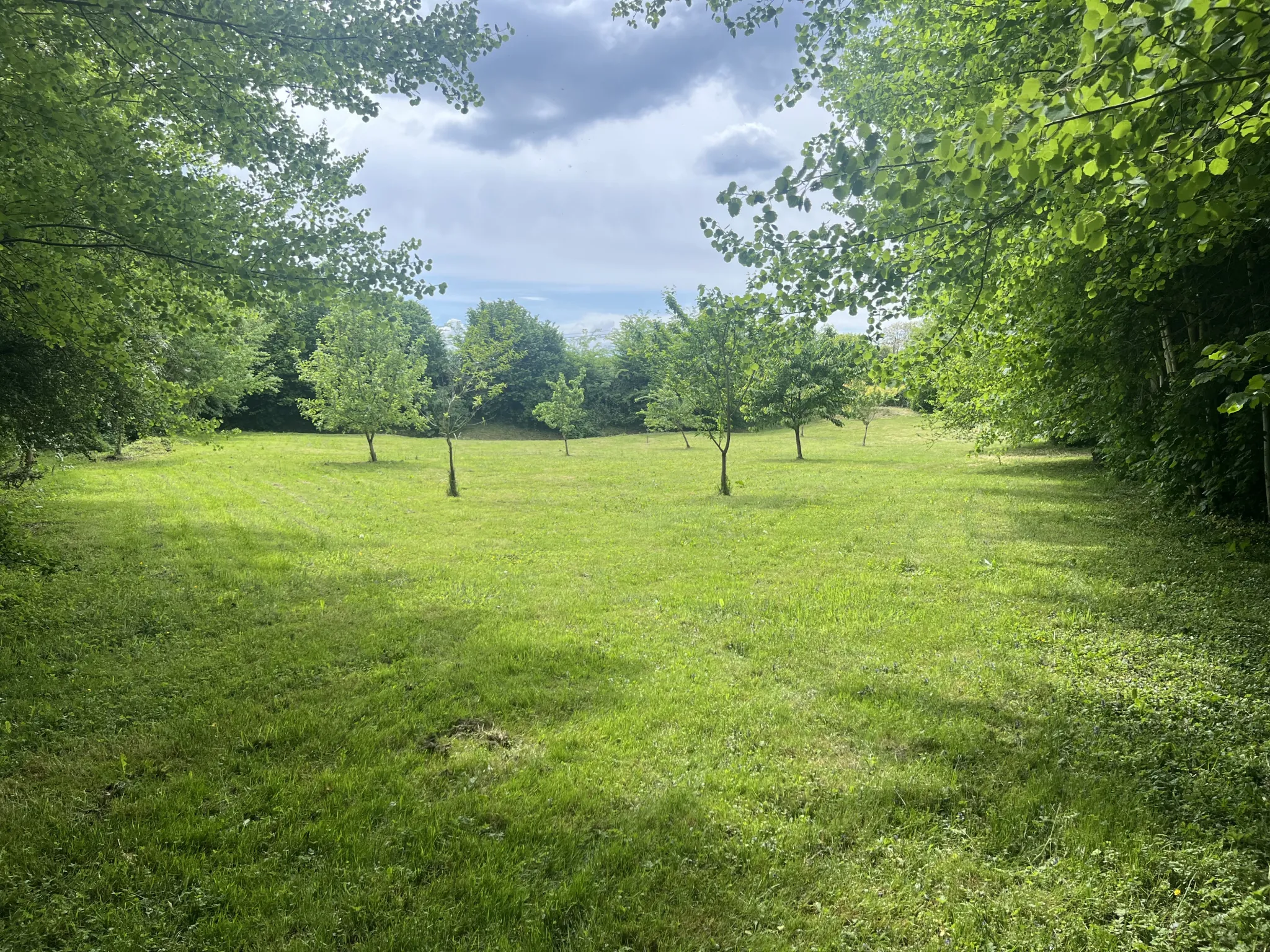 Maison de plain-pied à vendre à Bourgtheroulde, grand terrain, proche nature 