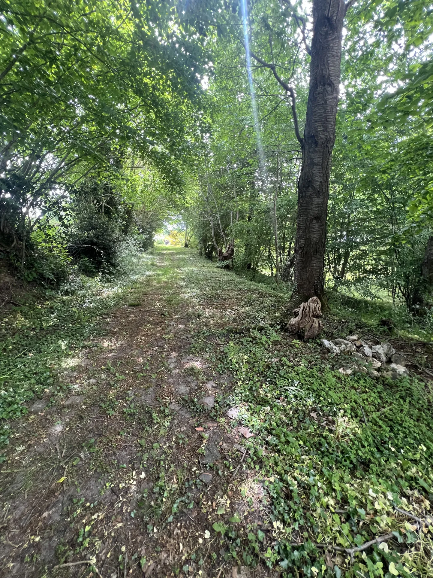 Maison de plain-pied à vendre à Bourgtheroulde, grand terrain, proche nature 