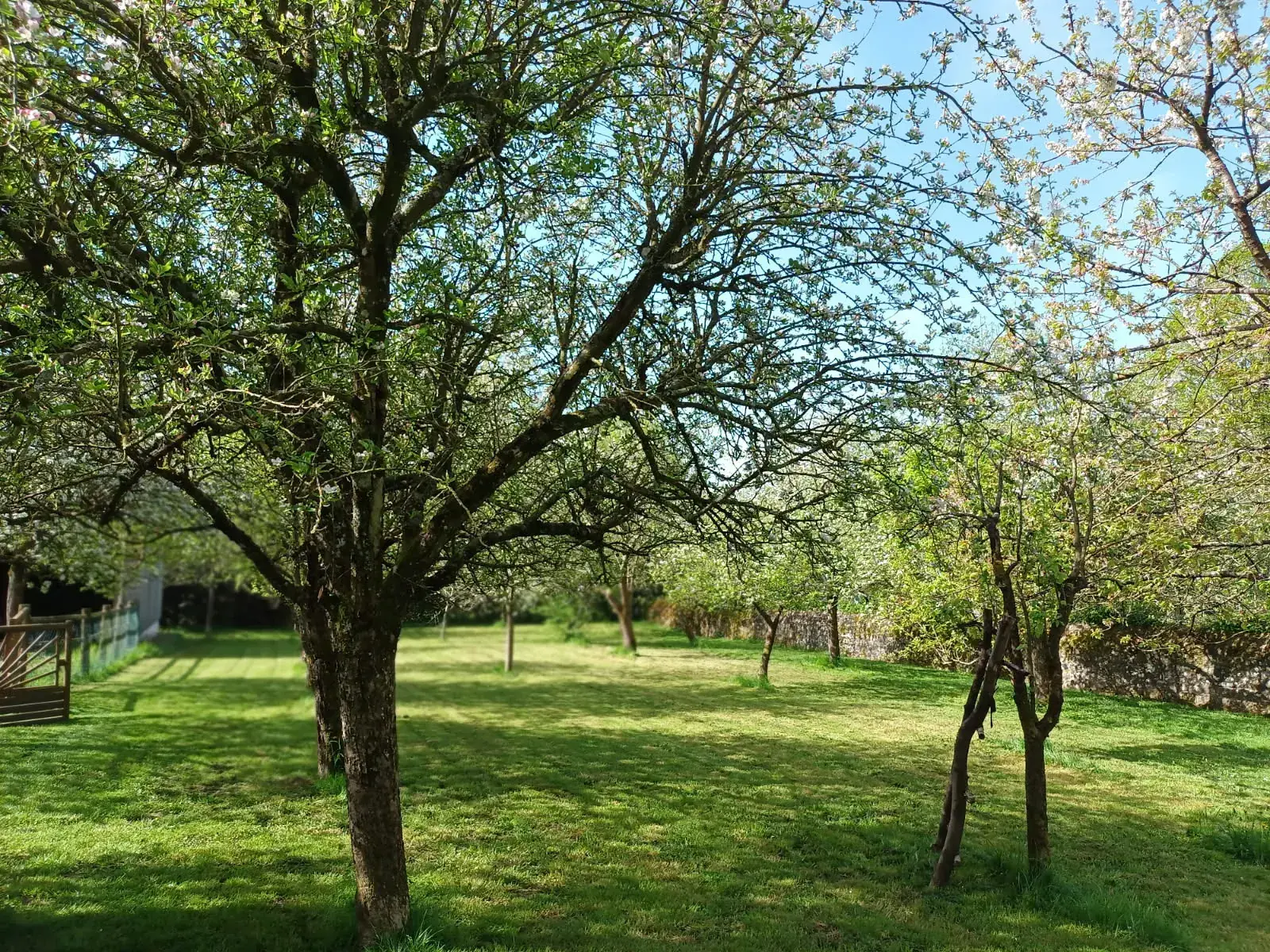À vendre maison spacieuse de 160 m² à Condé sur Sarthe avec terrain de 3858 m² 
