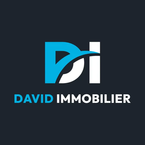 DAVIDIMMOBILIER_1