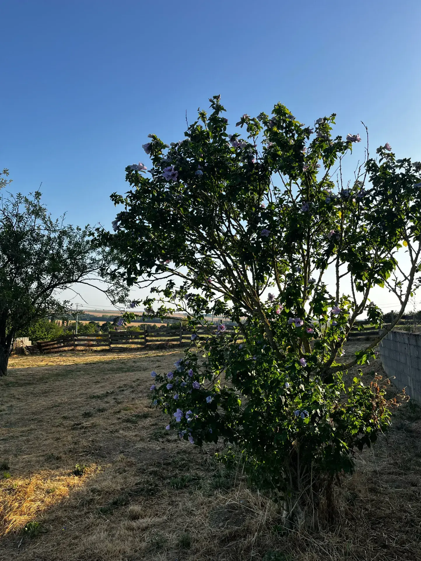 Maison ancienne rénovée avec vue panoramique à St Jean de Sauves 