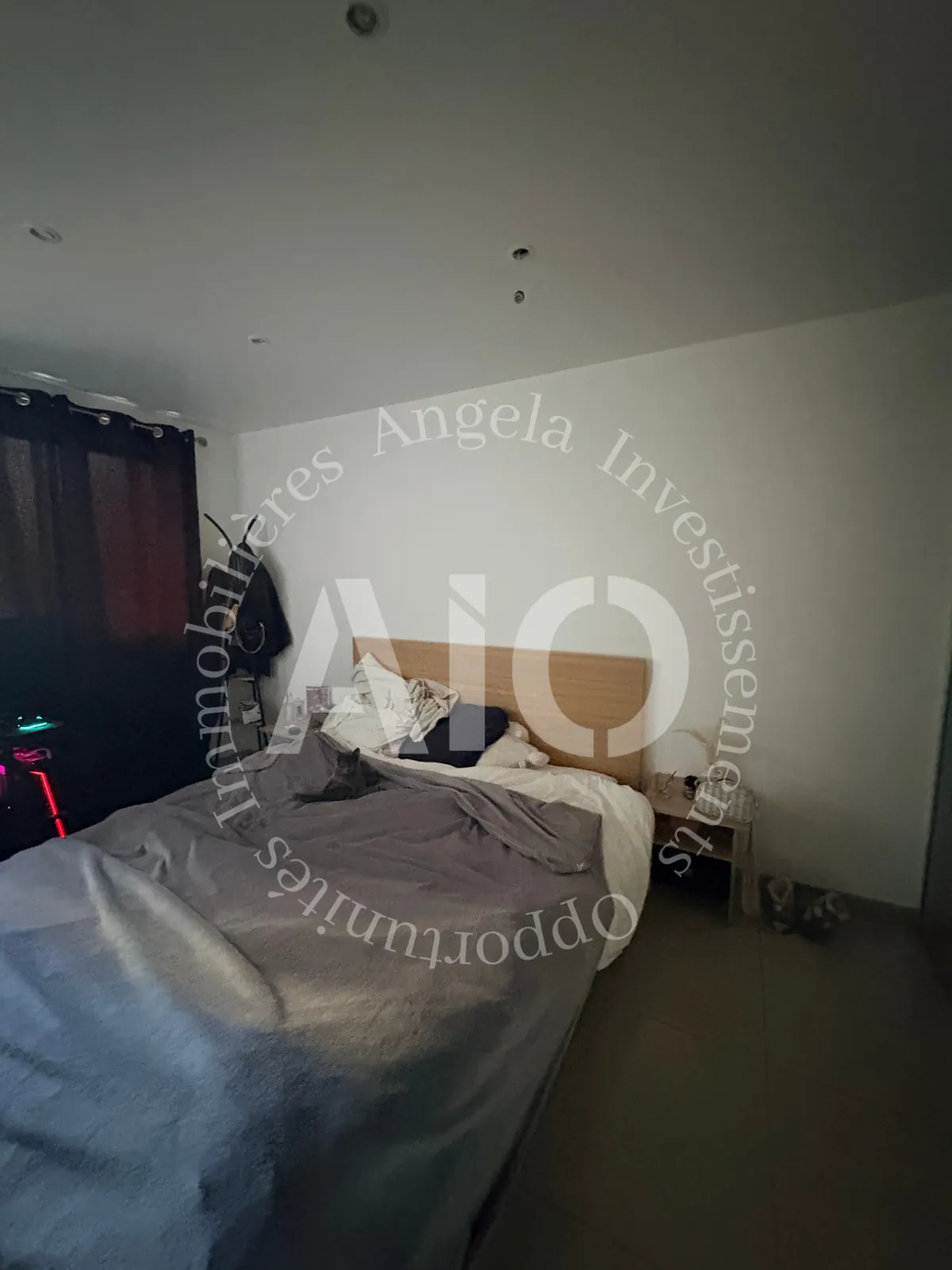 Grand appartement T4 traversant de 61 m² avec cave à Villeurbanne 