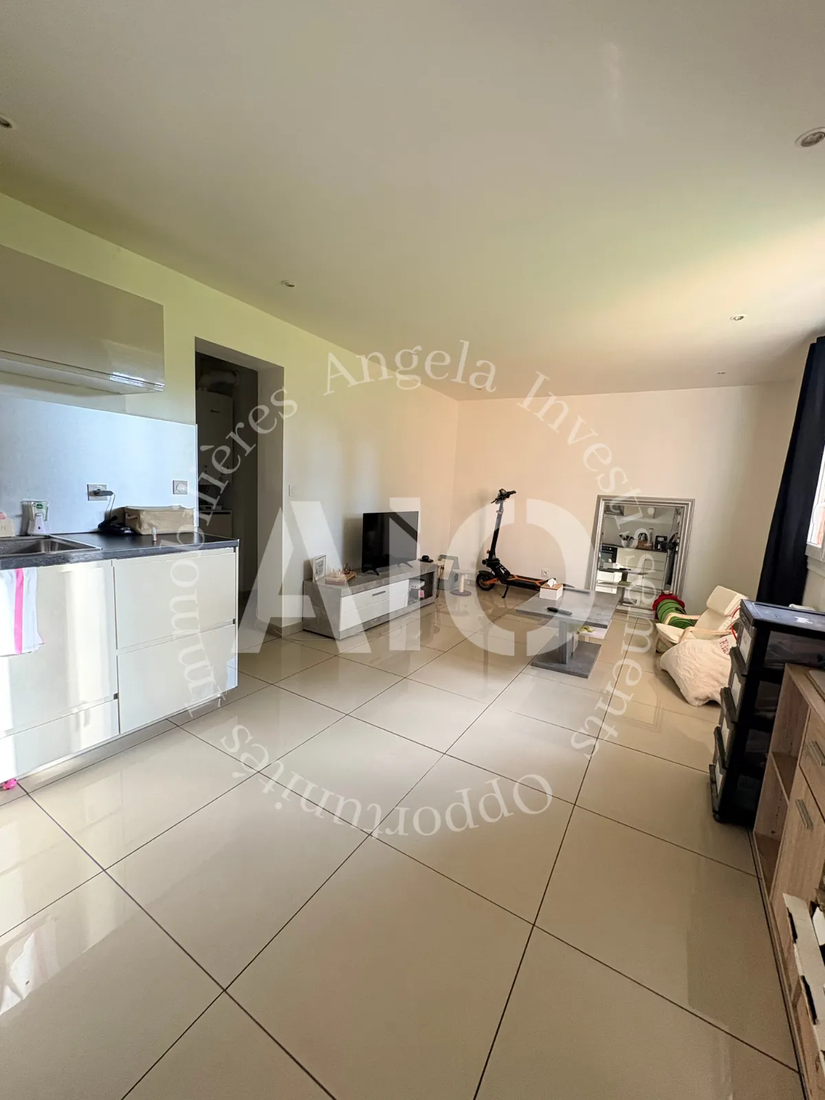 Grand appartement T4 traversant de 61 m² avec cave à Villeurbanne 