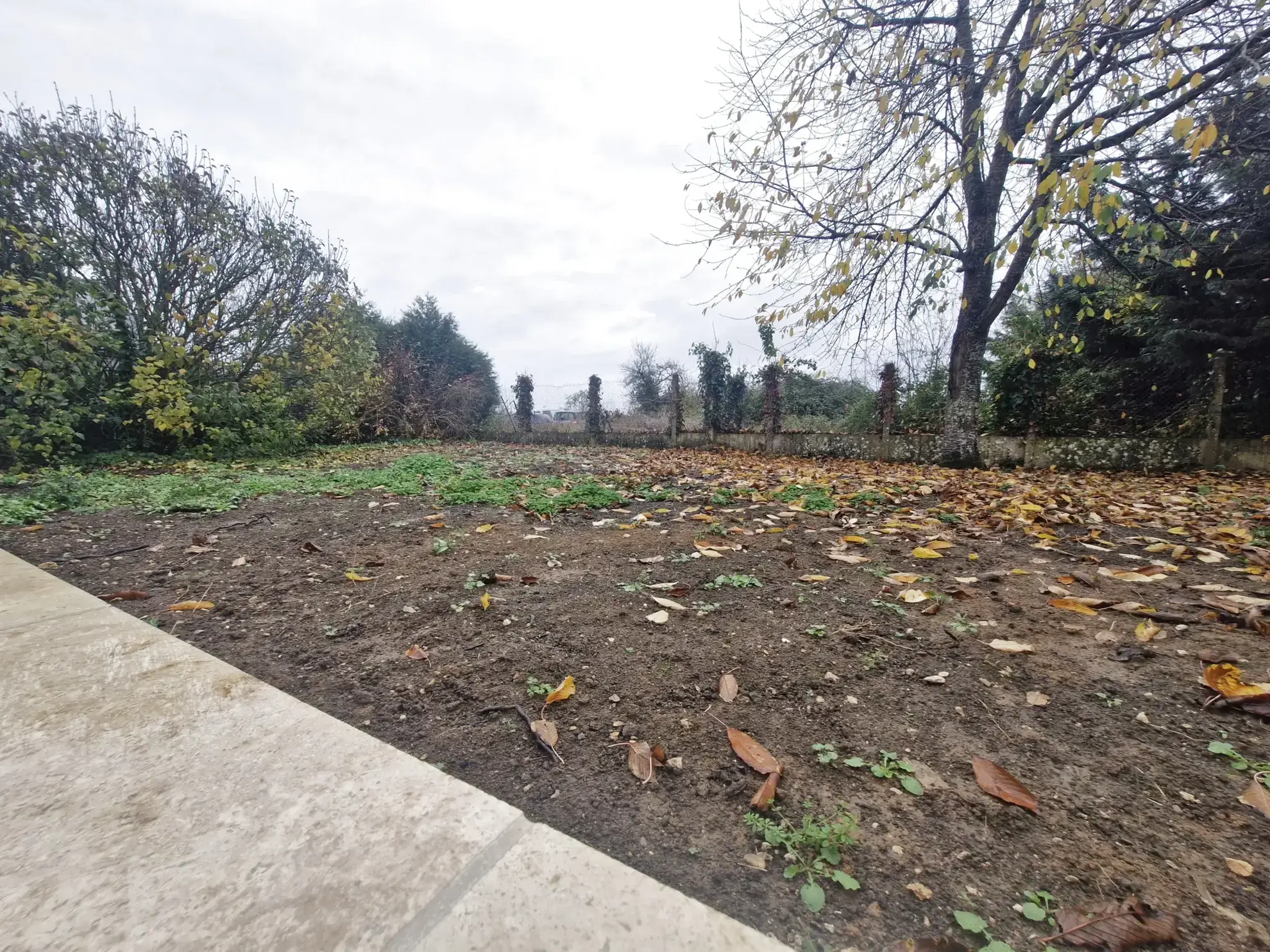 Charmante maison rénovée avec cour et terrain à Ouzouer le Doyen 