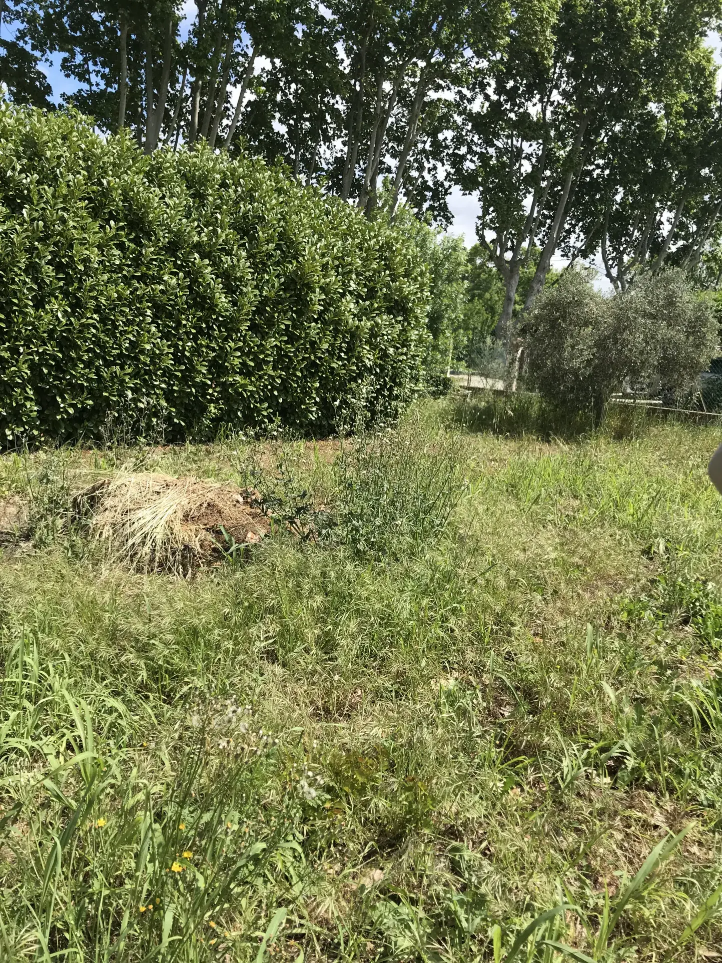 Terrain constructible de 492 m² à Pelissanne dans un quartier proche du centre-ville