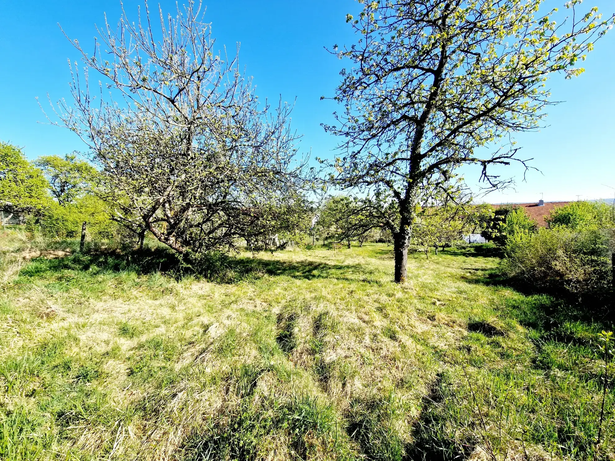 Maison spacieuse de 171 m² à Serqueux avec jardin et garage 