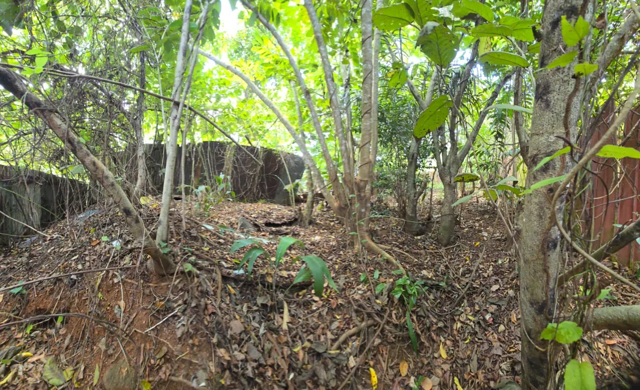 Terrain inconstructible de 933 m² à Suzini, Rémire-Montjoly à vendre