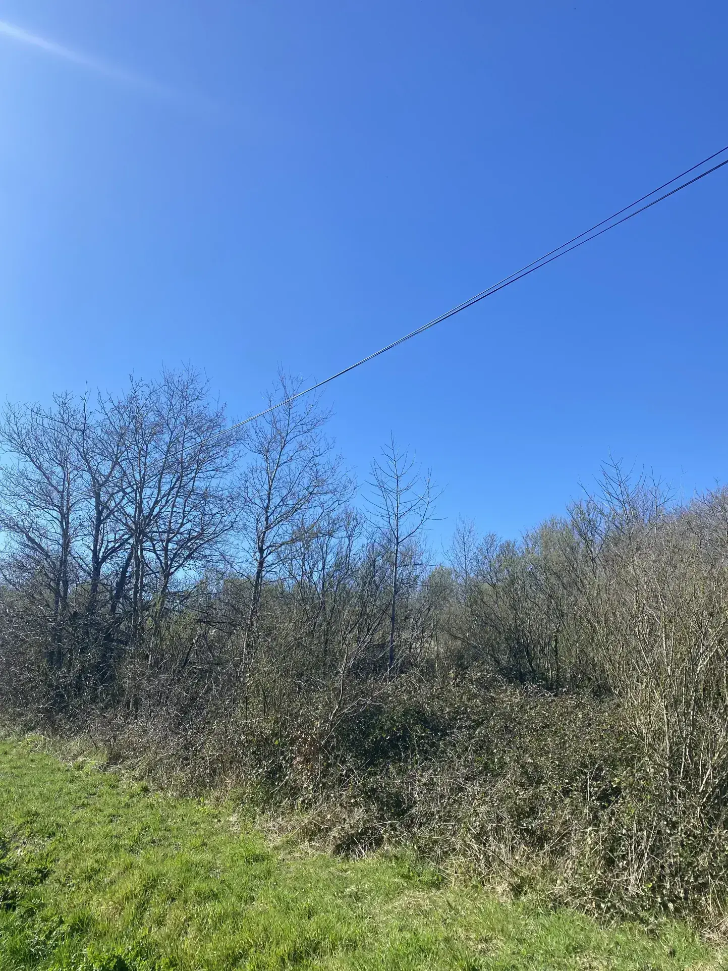 Terrain agricole à Saint-Gilles-Croix-de-Vie, 3 100 m², exclusivité