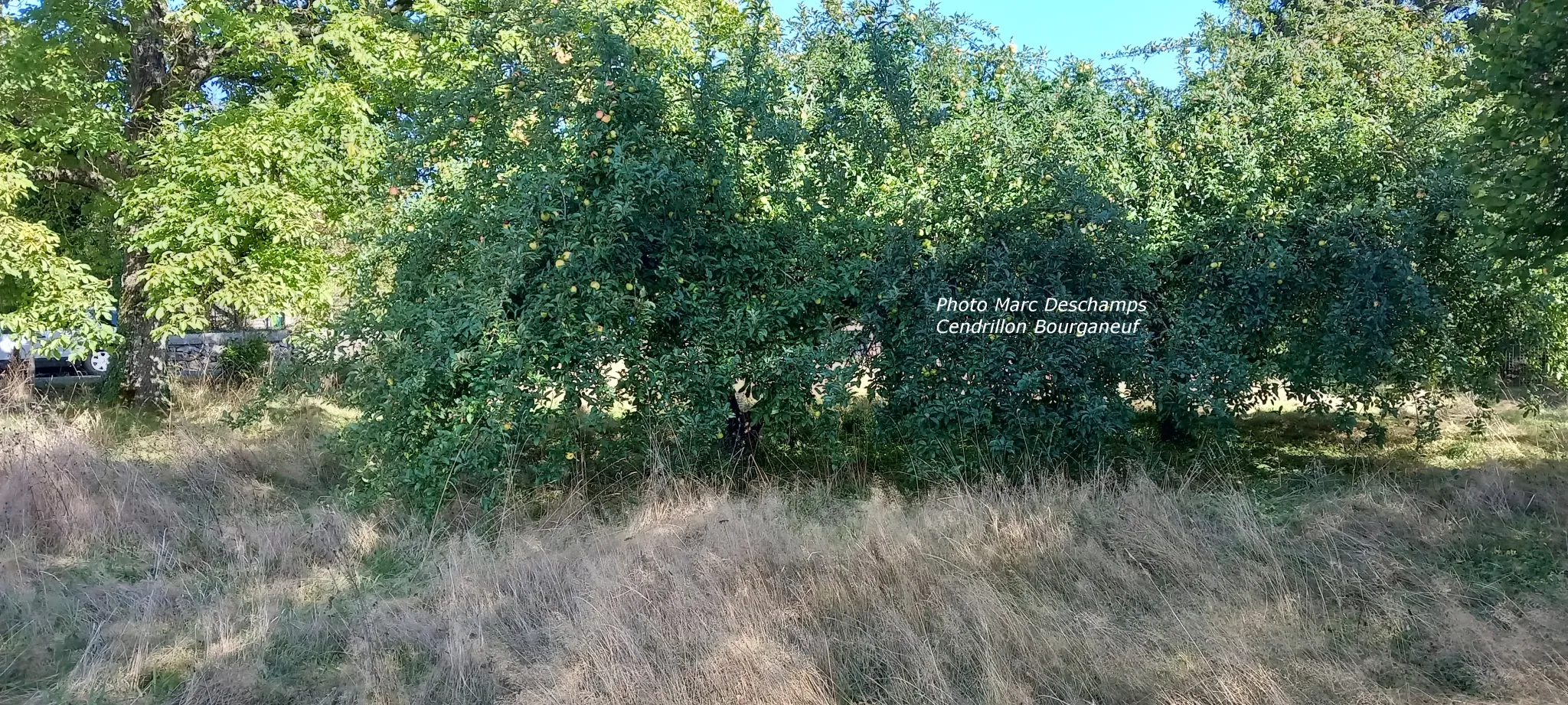 Terrain constructible de 2665 m² à Aulon avec belle vue dégagée 