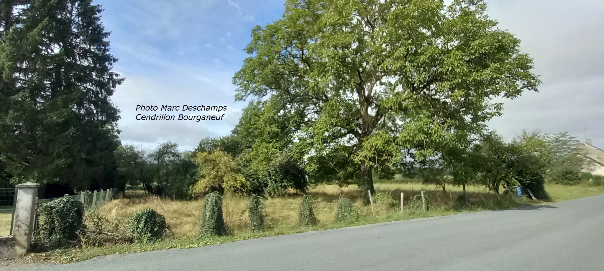 Terrain constructible de 2665 m² à Aulon avec belle vue dégagée 