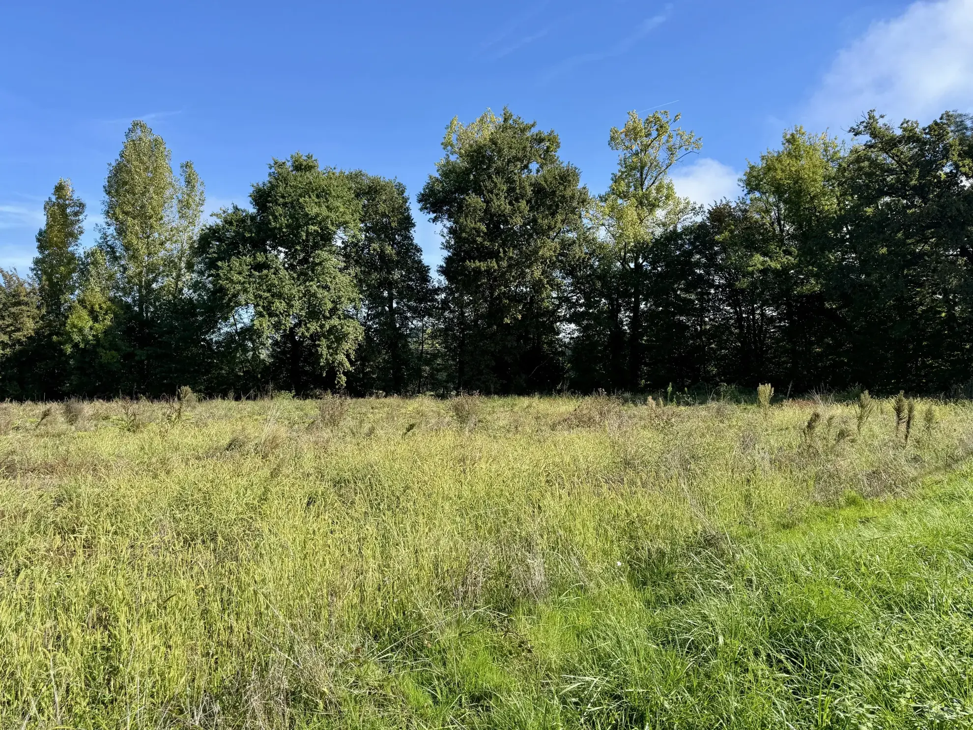 Terrain constructible plat de 1650 m² à Varetz, idéal pour maison de plain-pied 