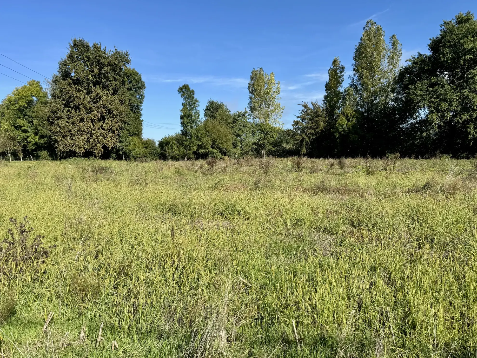 Terrain constructible plat de 1650 m² à Varetz, idéal pour maison de plain-pied 