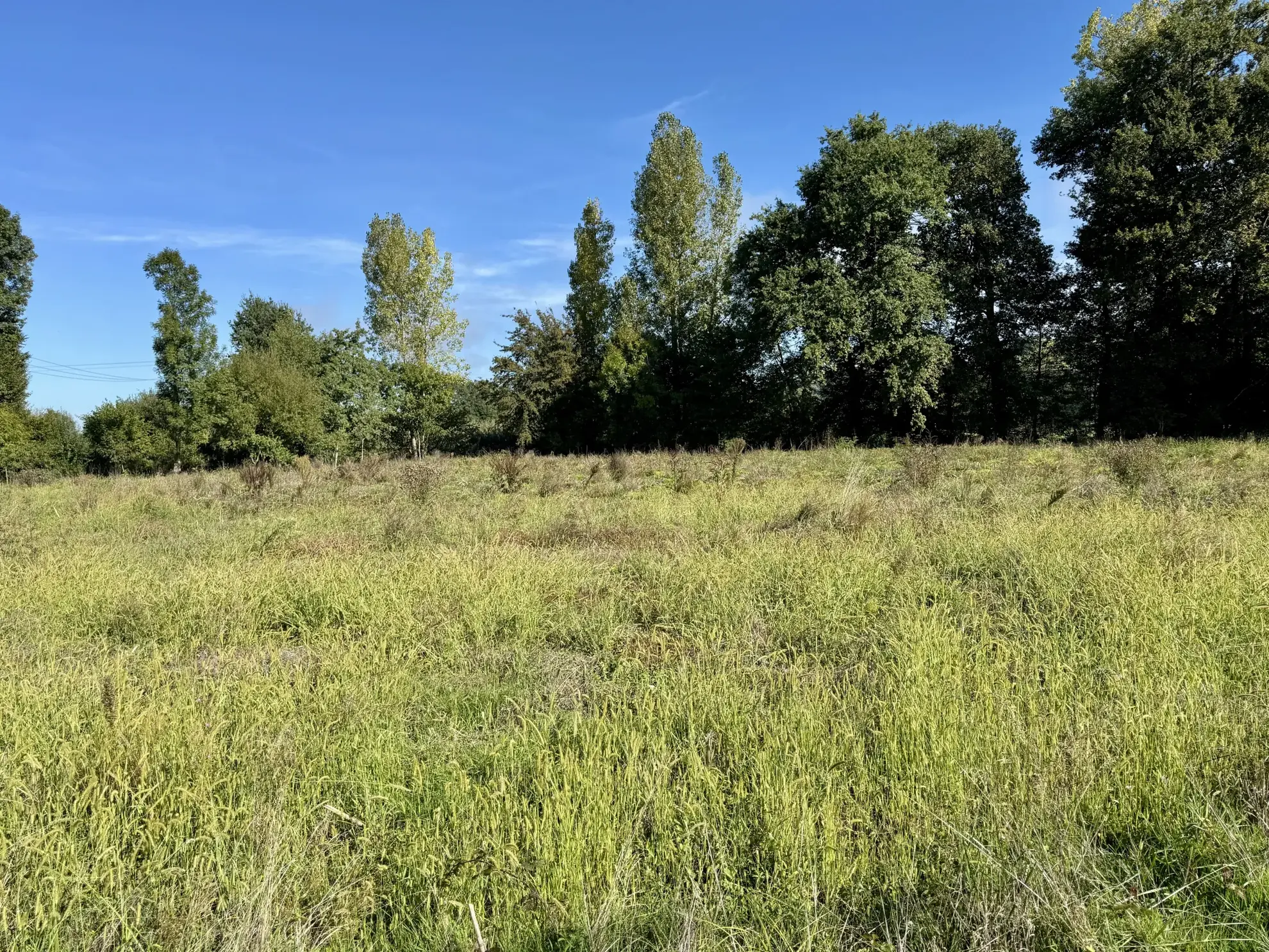Terrain constructible plat de 1650 m² à Varetz, idéal pour maison de plain-pied 