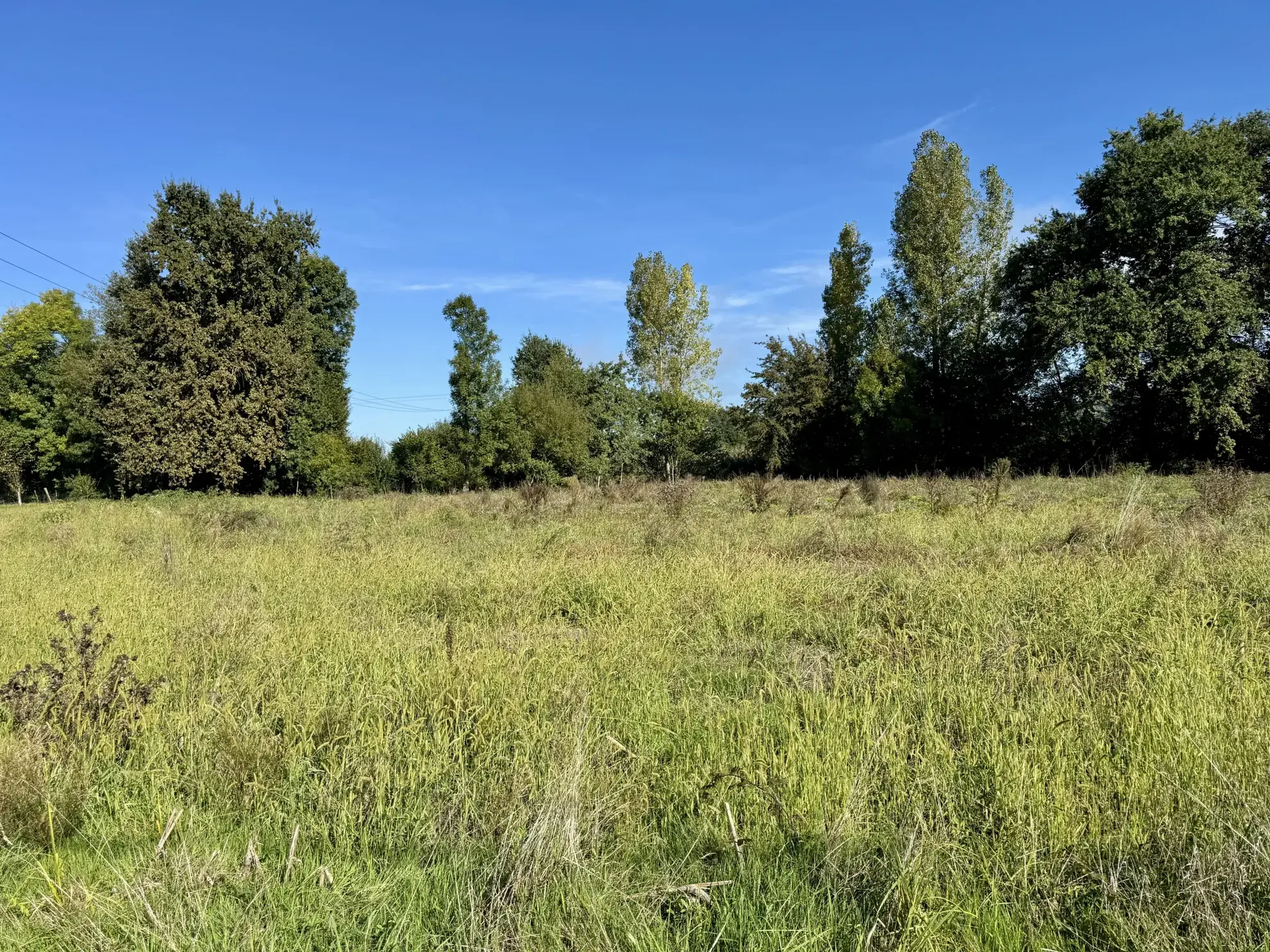 Terrain constructible plat de 1650 m² à Varetz, idéal pour maison de plain-pied 