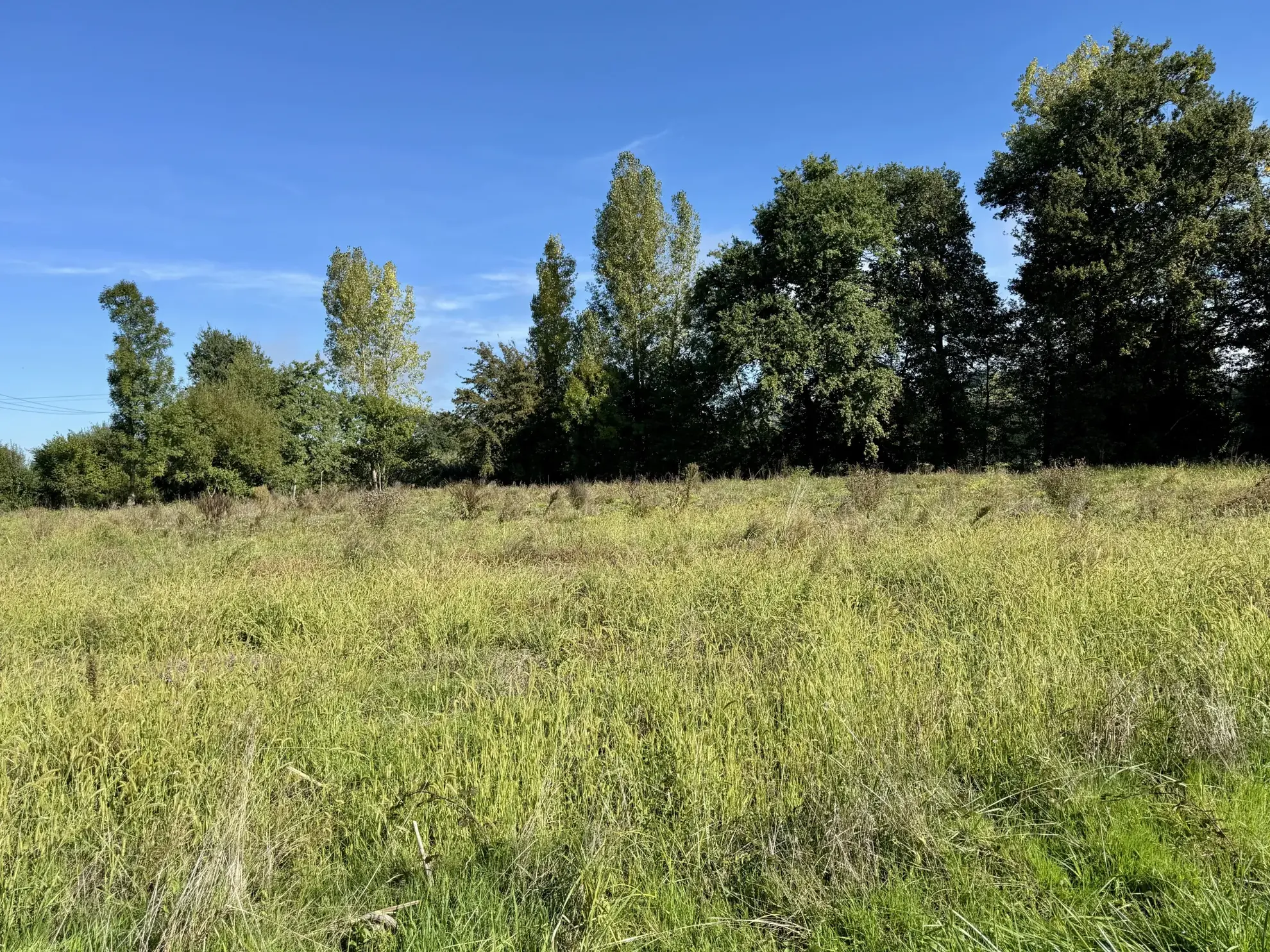 Terrain constructible plat de 1650 m² à Varetz, idéal pour maison de plain-pied 