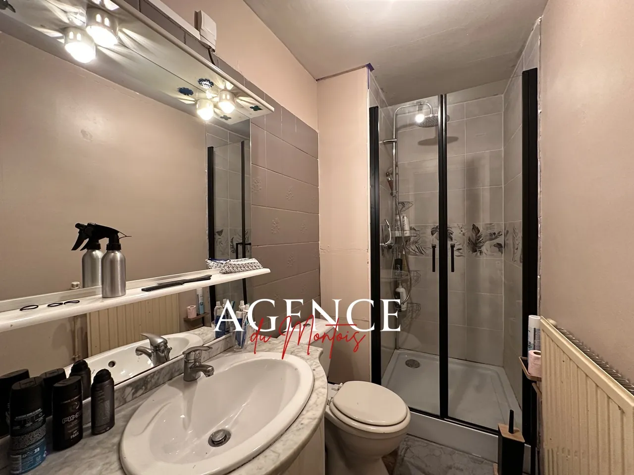 Maison de village à Bray-sur-Seine avec 5 chambres et chauffage électrique 