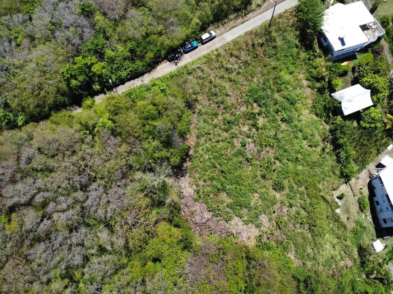 Terrain constructible avec vue mer au Pointe la Rose - Le Robert 