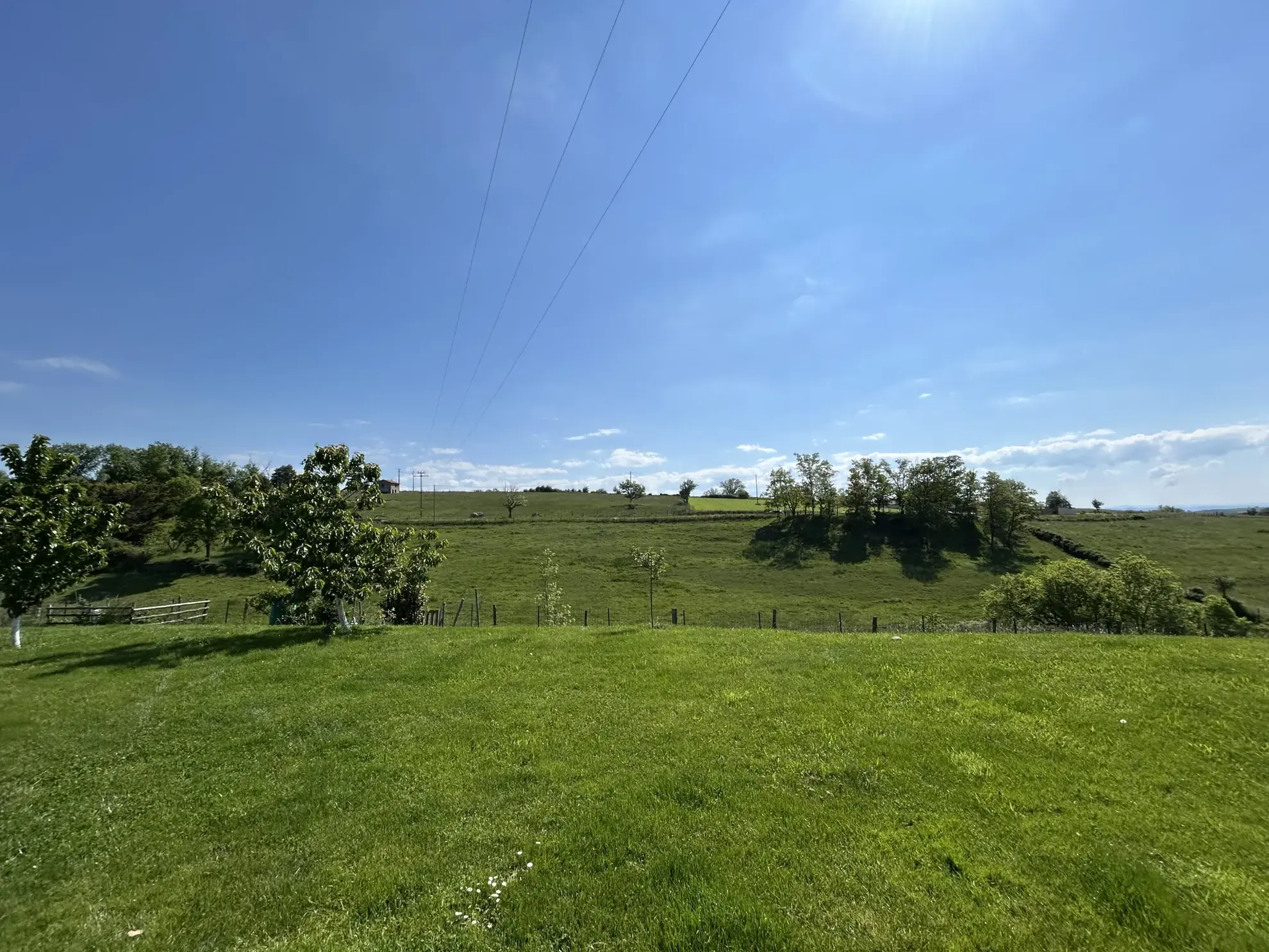 Charmante maison 3 chambres avec sous-sol et terrain à Neulise 