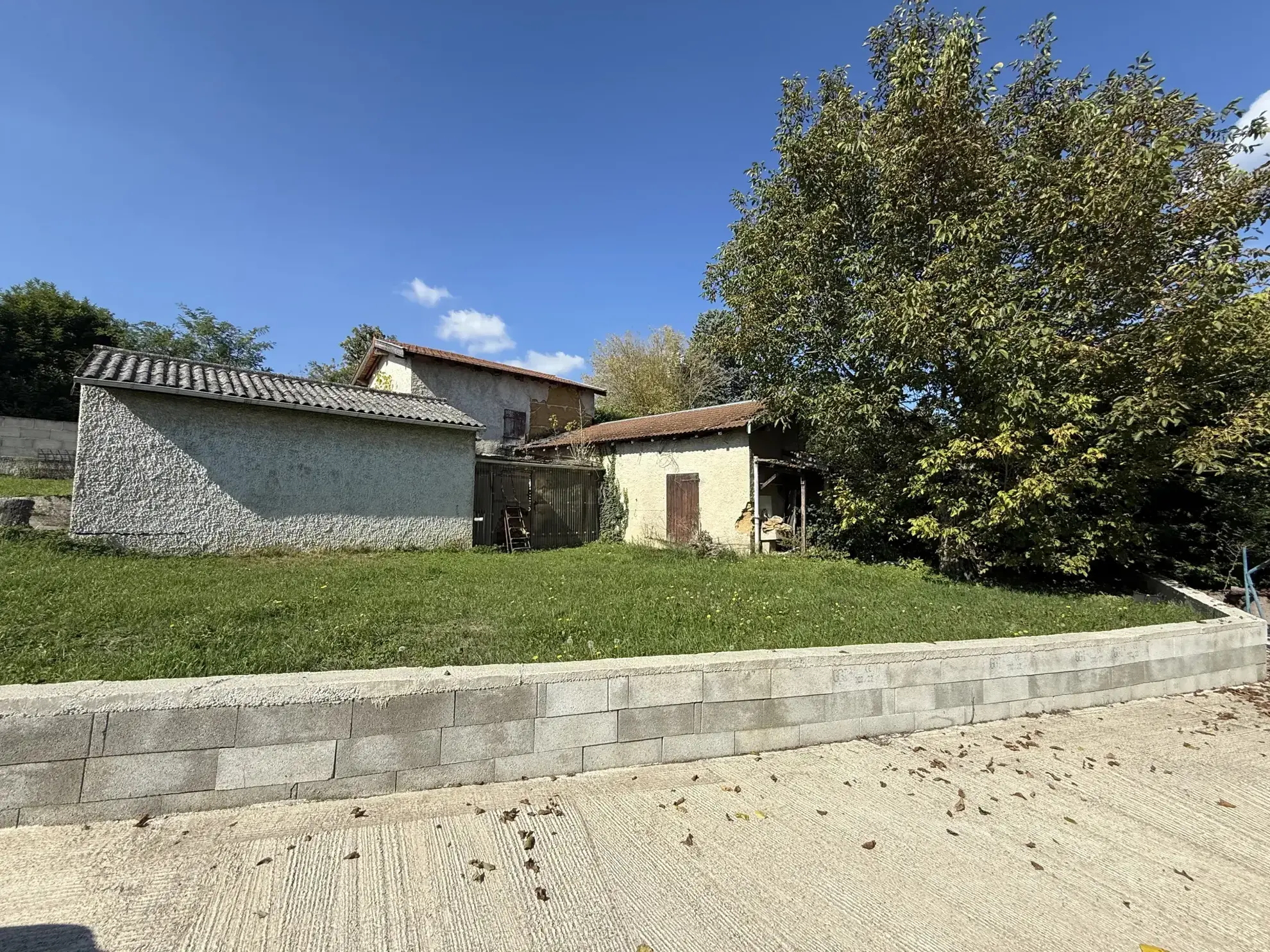 Maison à rénover à Chonas l'Amballan, terrain clos, 49 m² habitables 