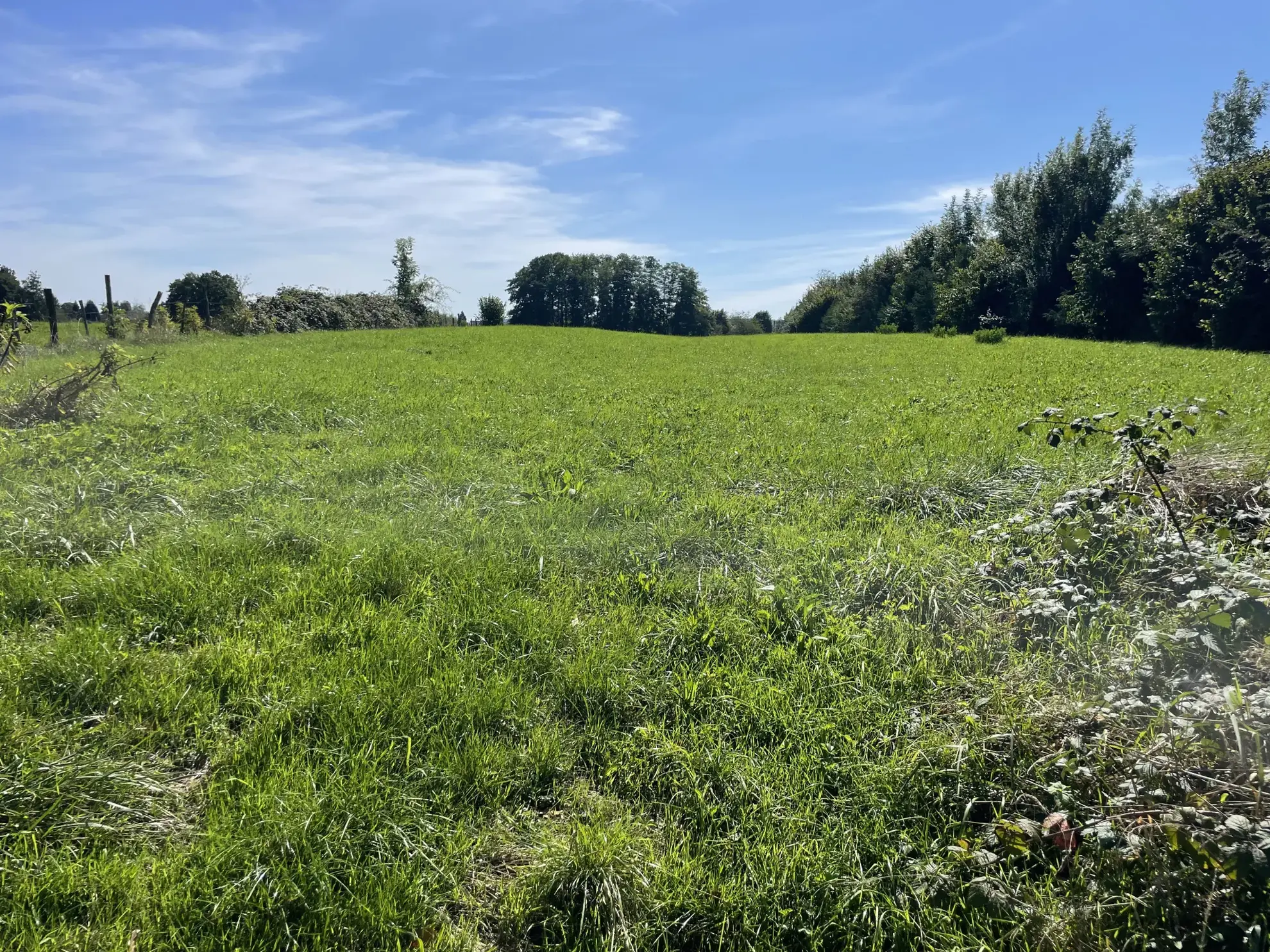 Belle ferme à Abelcourt avec terrain constructible de 2 hectares 