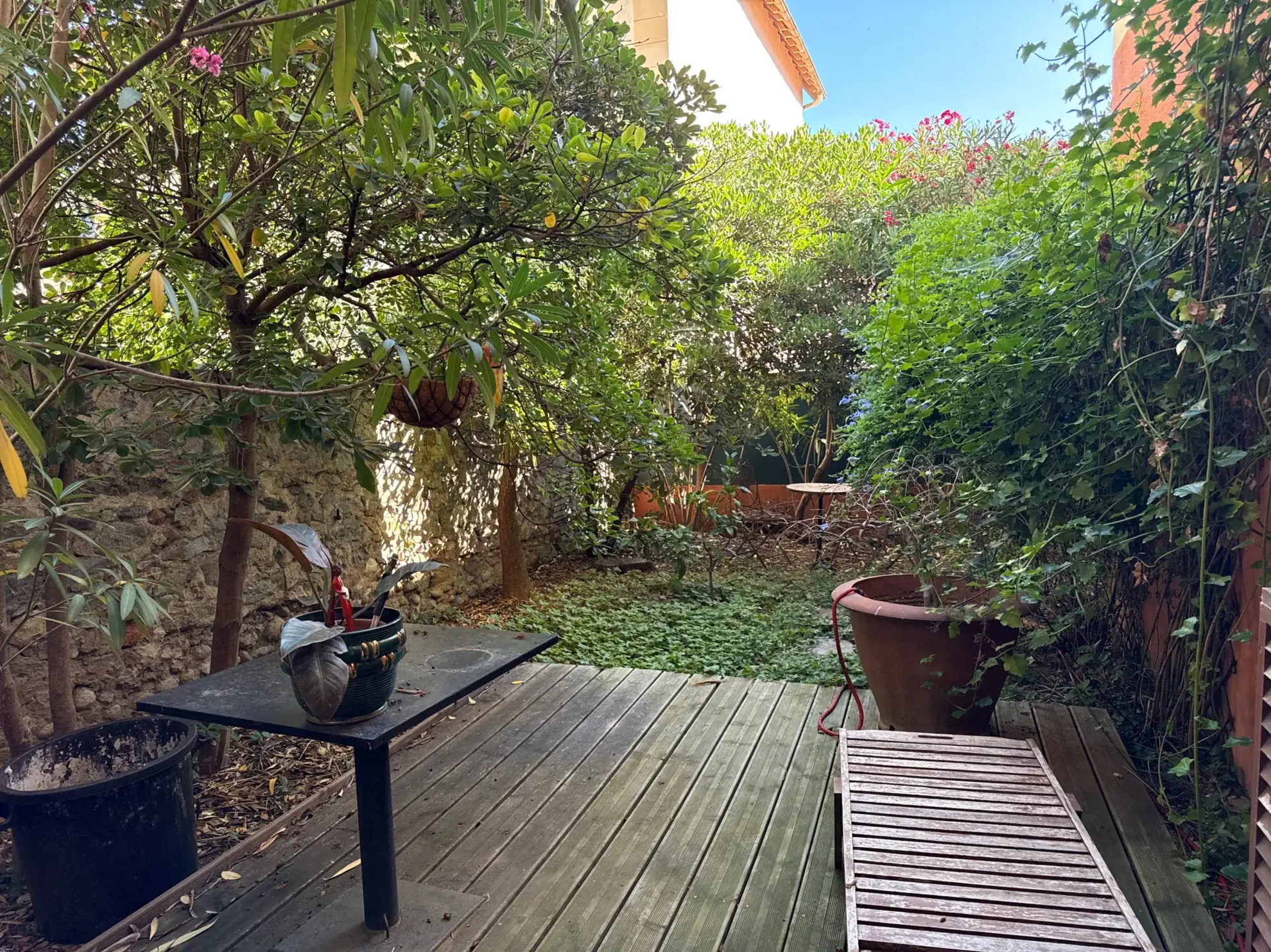 Appartement de charme avec jardin et terrasses à Amélie-les-Bains-Palalda 