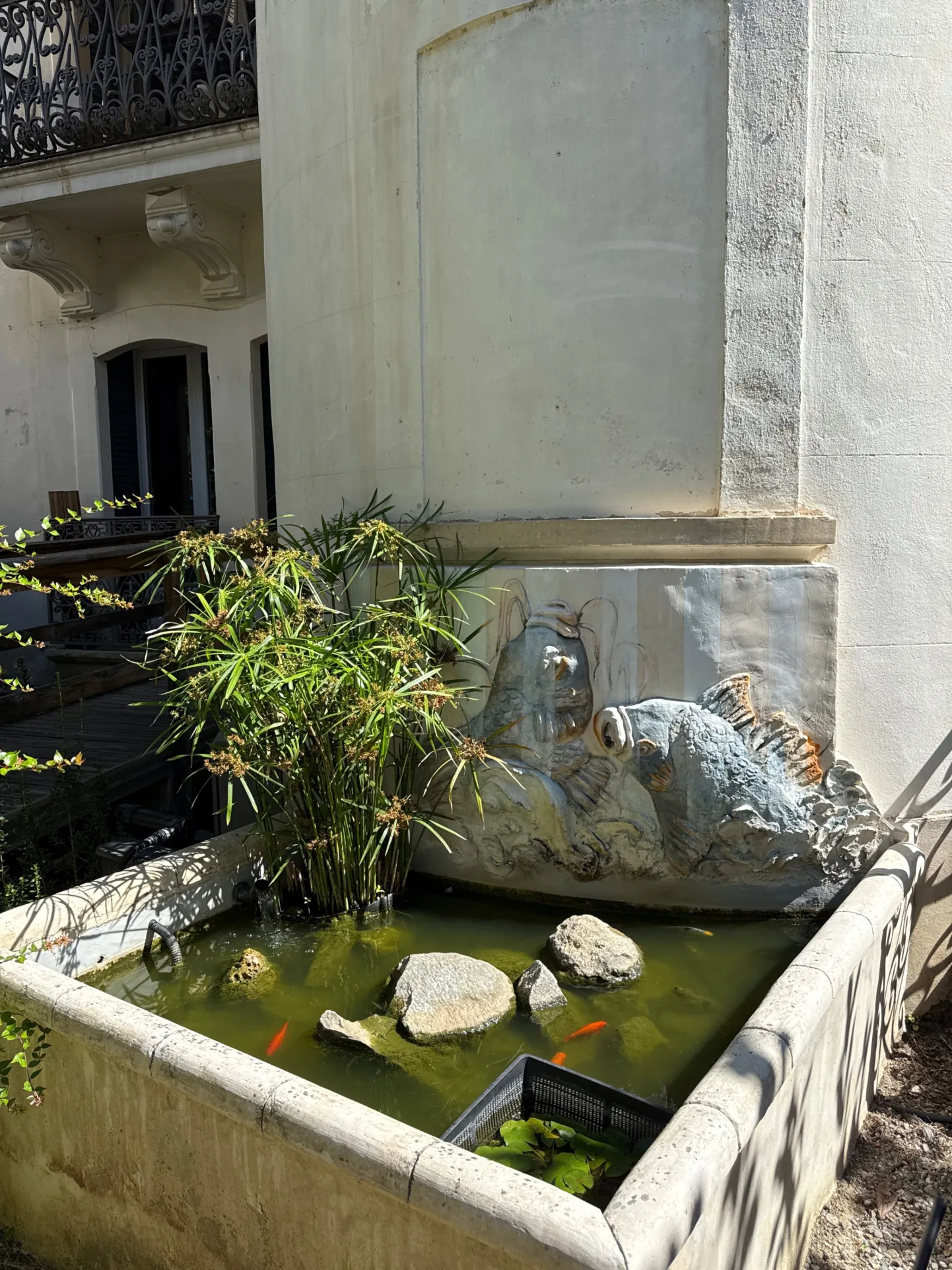 Appartement de charme avec jardin et terrasses à Amélie-les-Bains-Palalda 