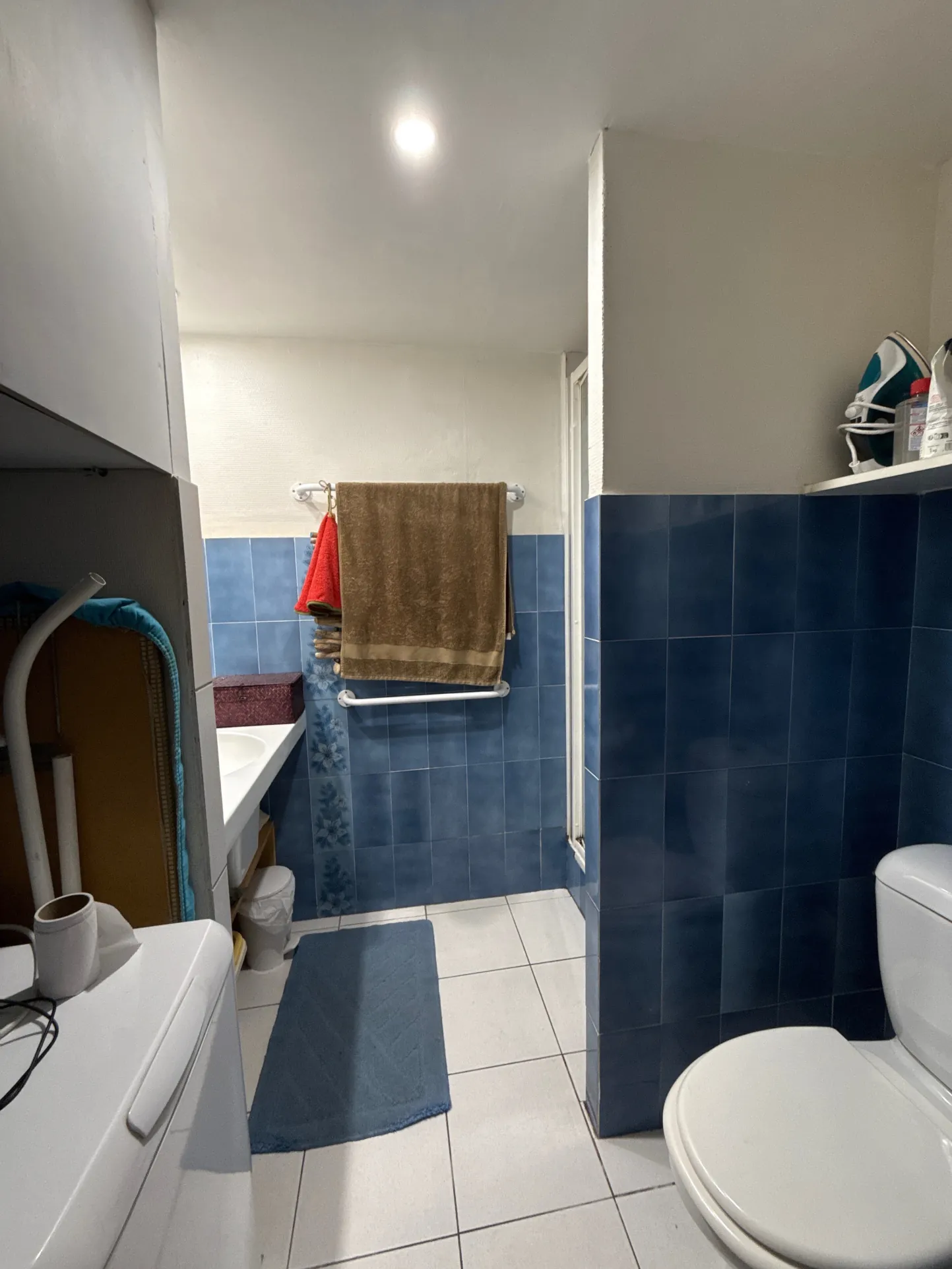 Appartement de charme avec jardin et terrasses à Amélie-les-Bains-Palalda 