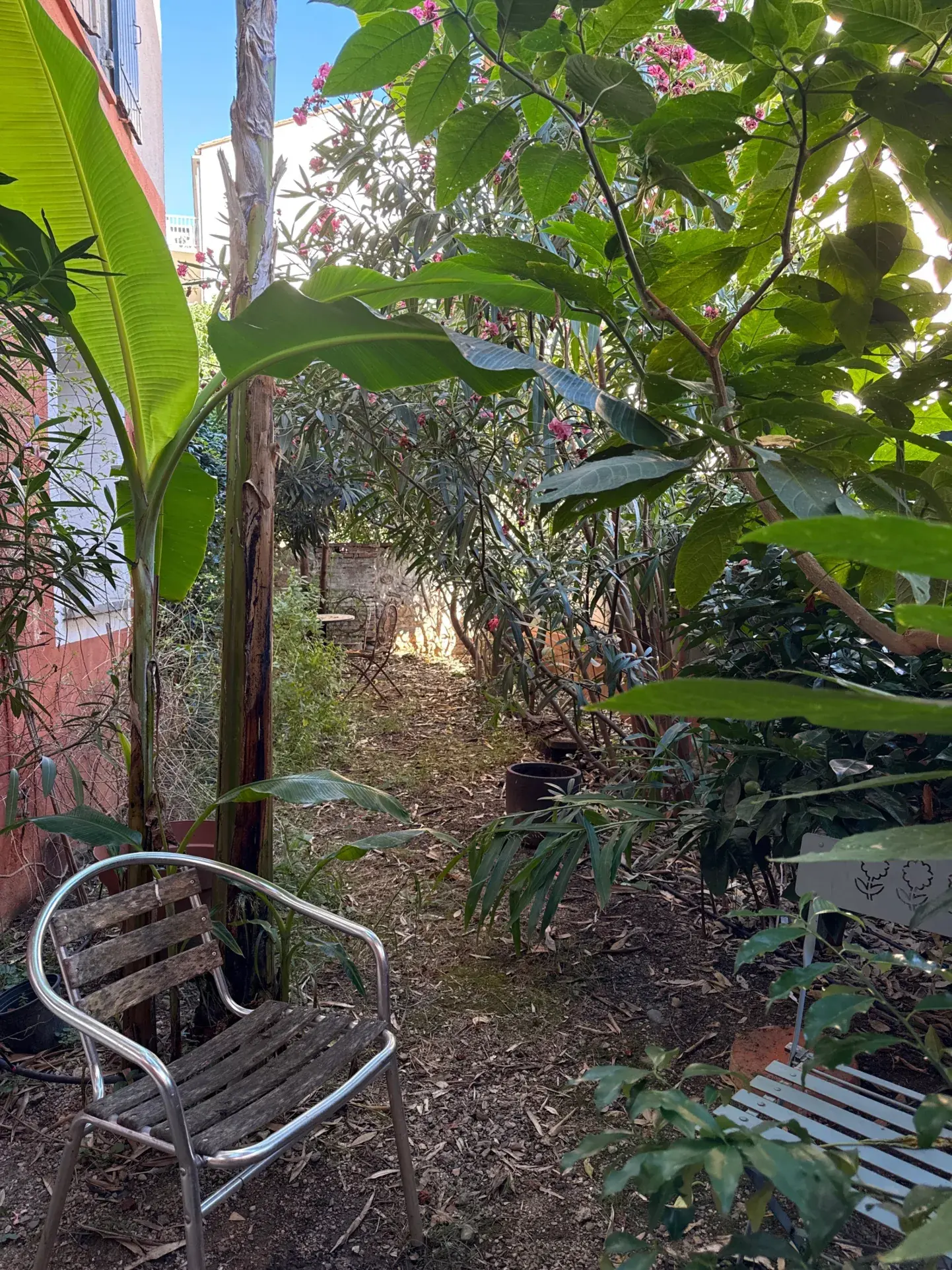 Appartement de charme avec jardin et terrasses à Amélie-les-Bains-Palalda 