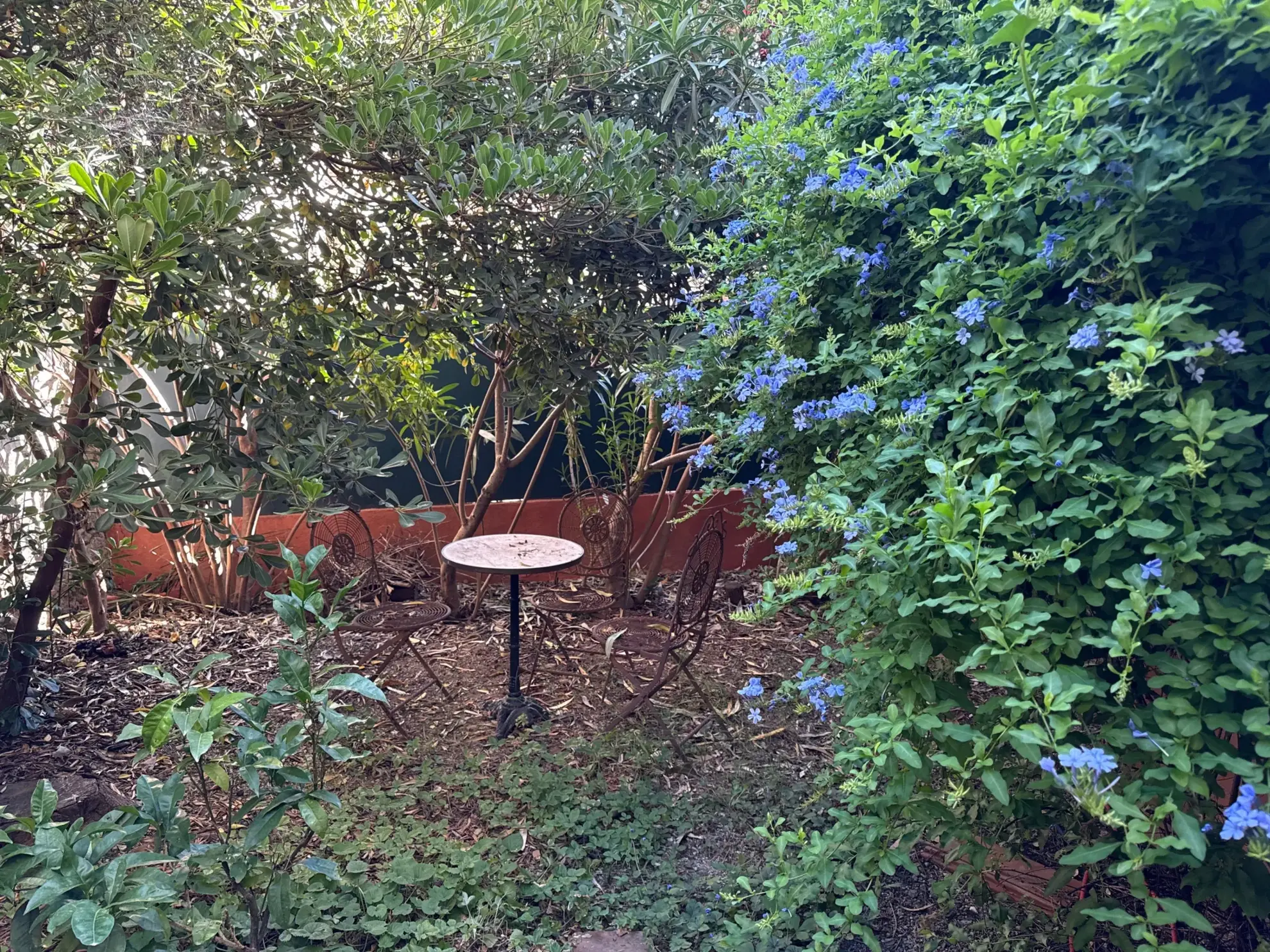 Appartement de charme avec jardin et terrasses à Amélie-les-Bains-Palalda 