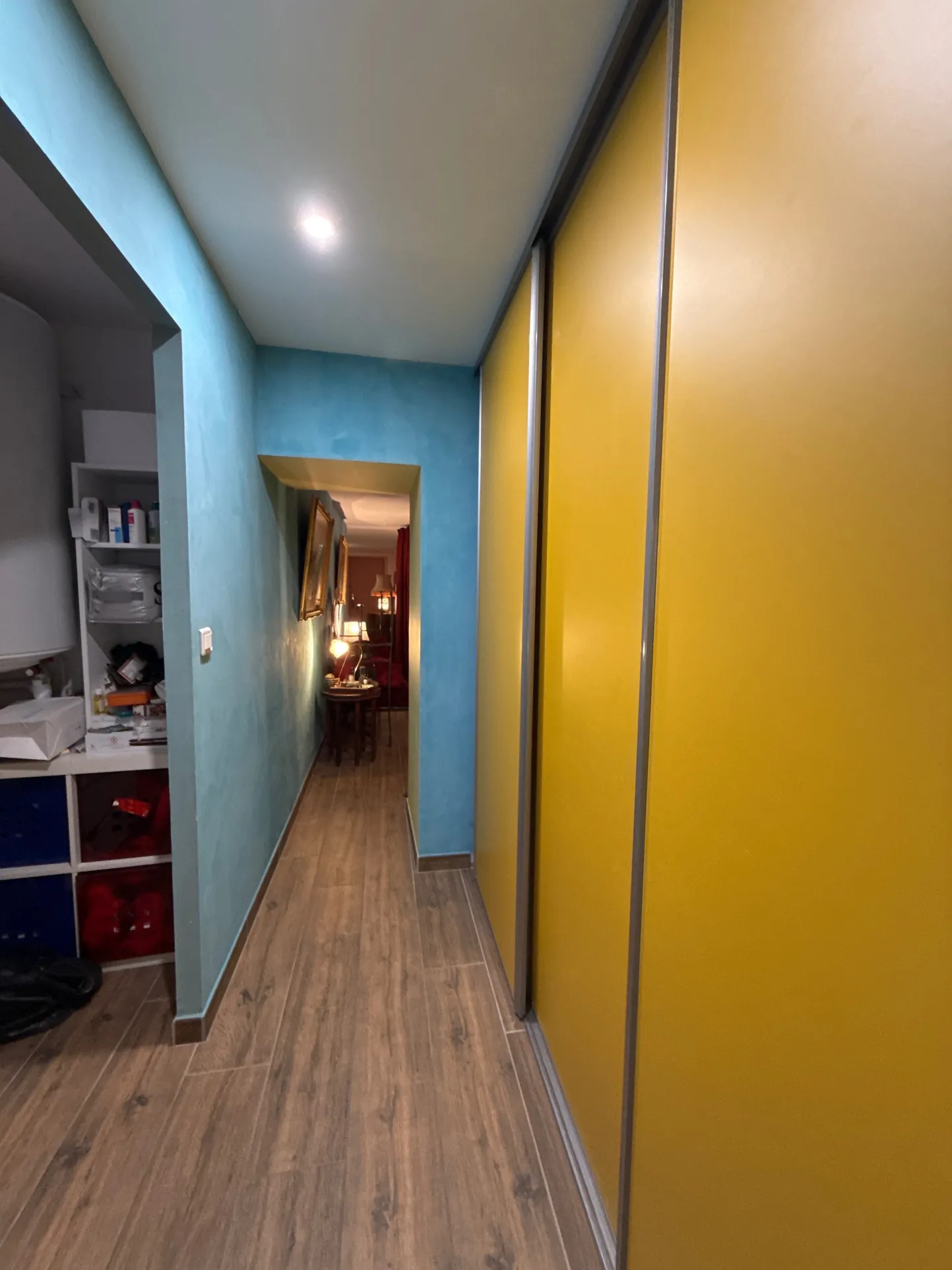 Appartement de charme avec jardin et terrasses à Amélie-les-Bains-Palalda 