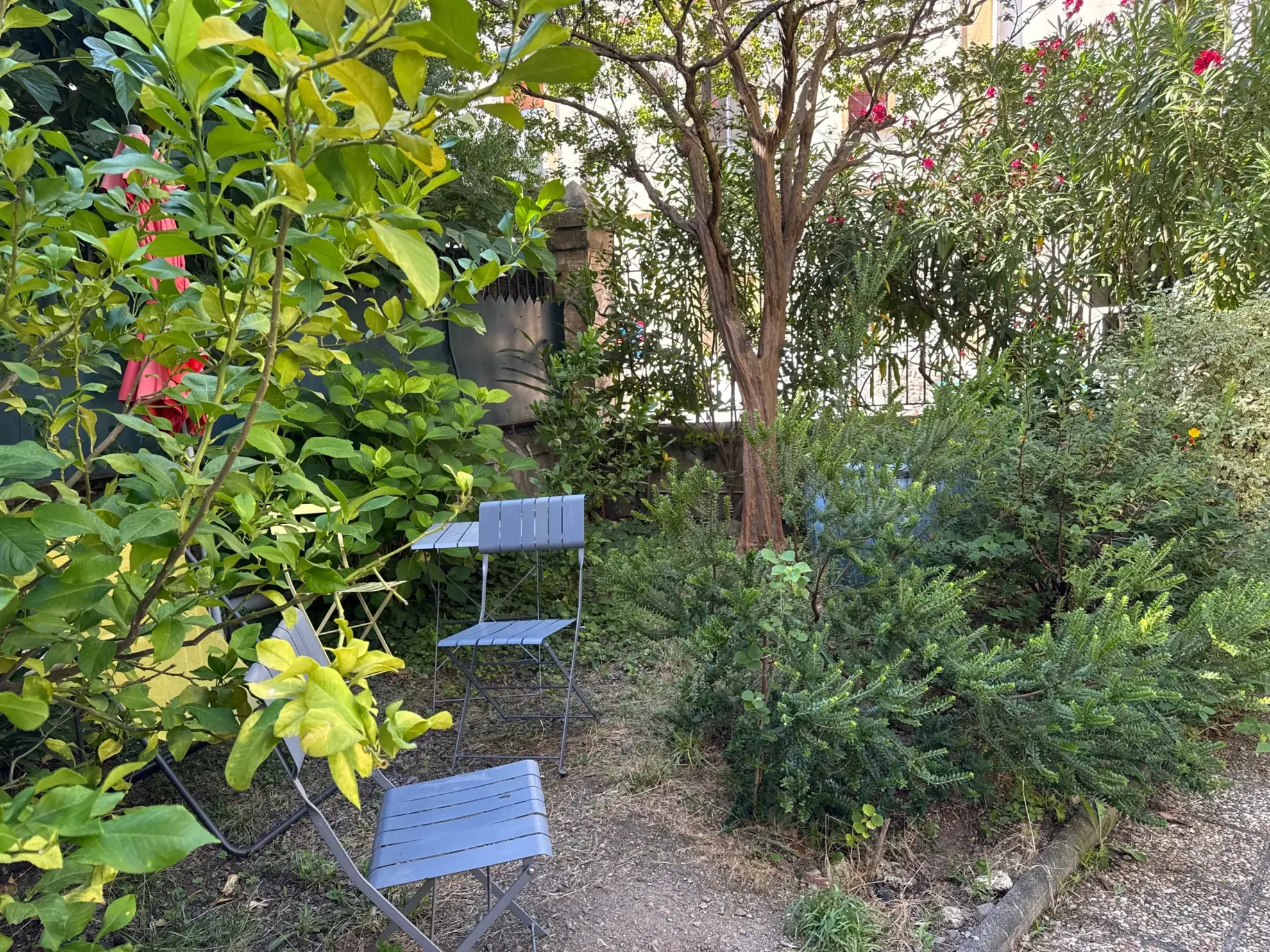 Appartement de charme avec jardin et terrasses à Amélie-les-Bains-Palalda 