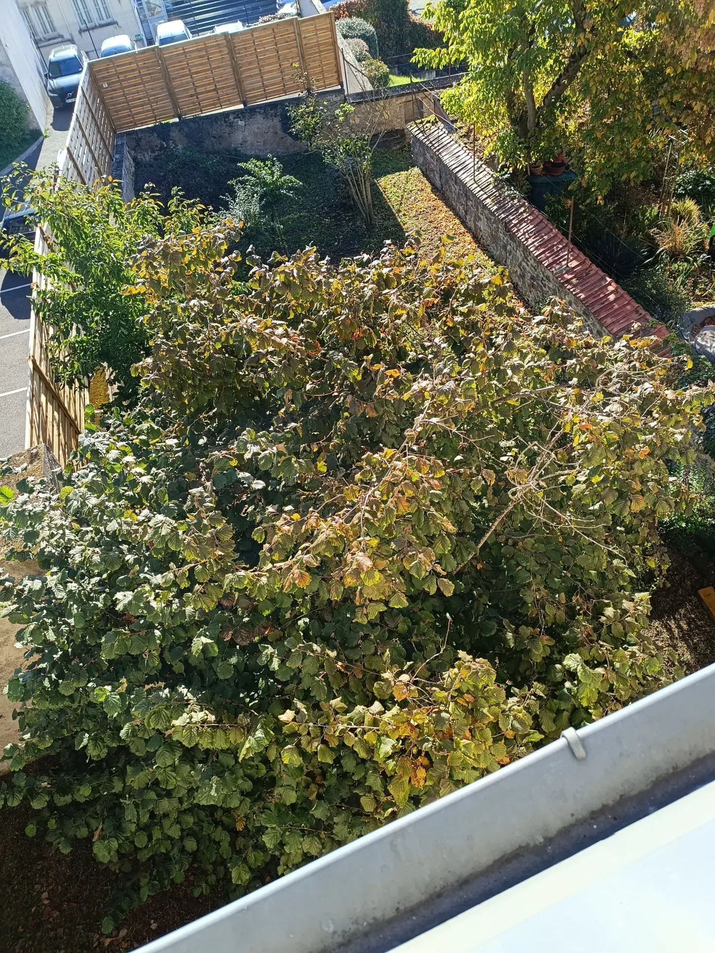 Maison bourgeoise à rénover à Vierzon, 210 m² avec cave, garage et jardin 