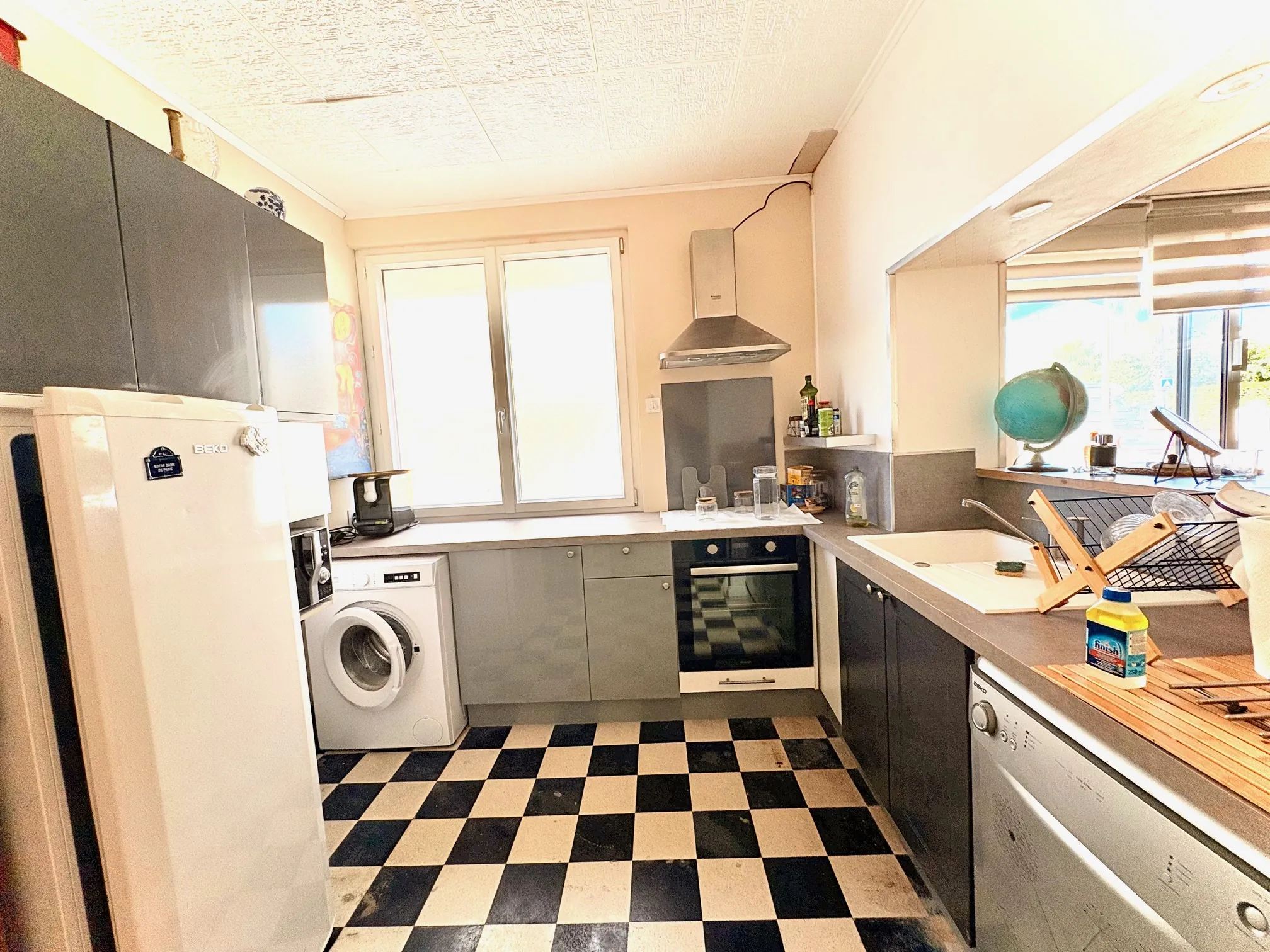 Appartement en front de mer à Palavas-les-Flots avec vue exceptionnelle et possibilité commerciale 