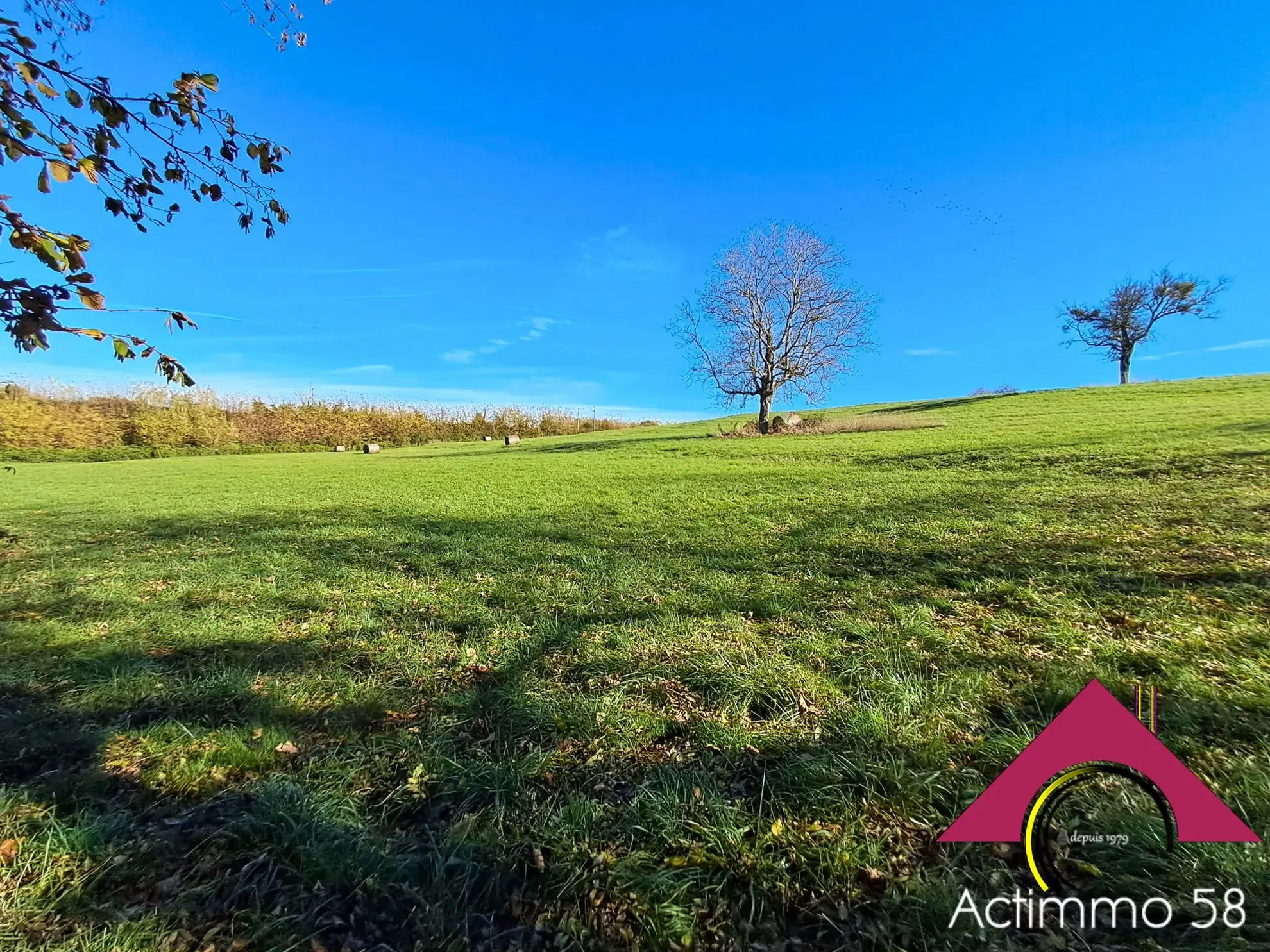 Maison récente avec grand terrain et cadre bucolique à Chantenay st Imbert 