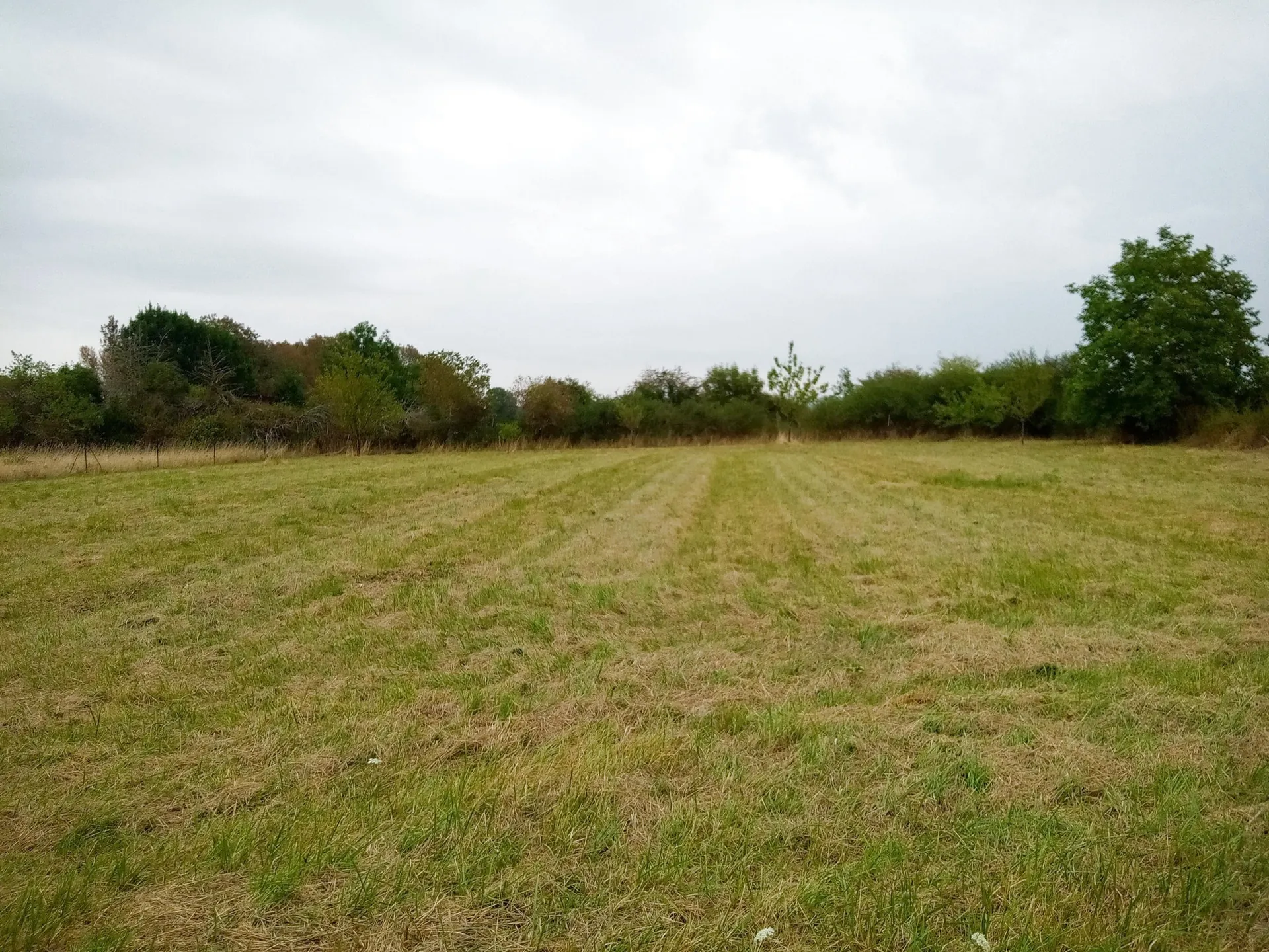 Maison moderne avec 4 chambres et grand terrain à Saint-Léger-le-Petit 