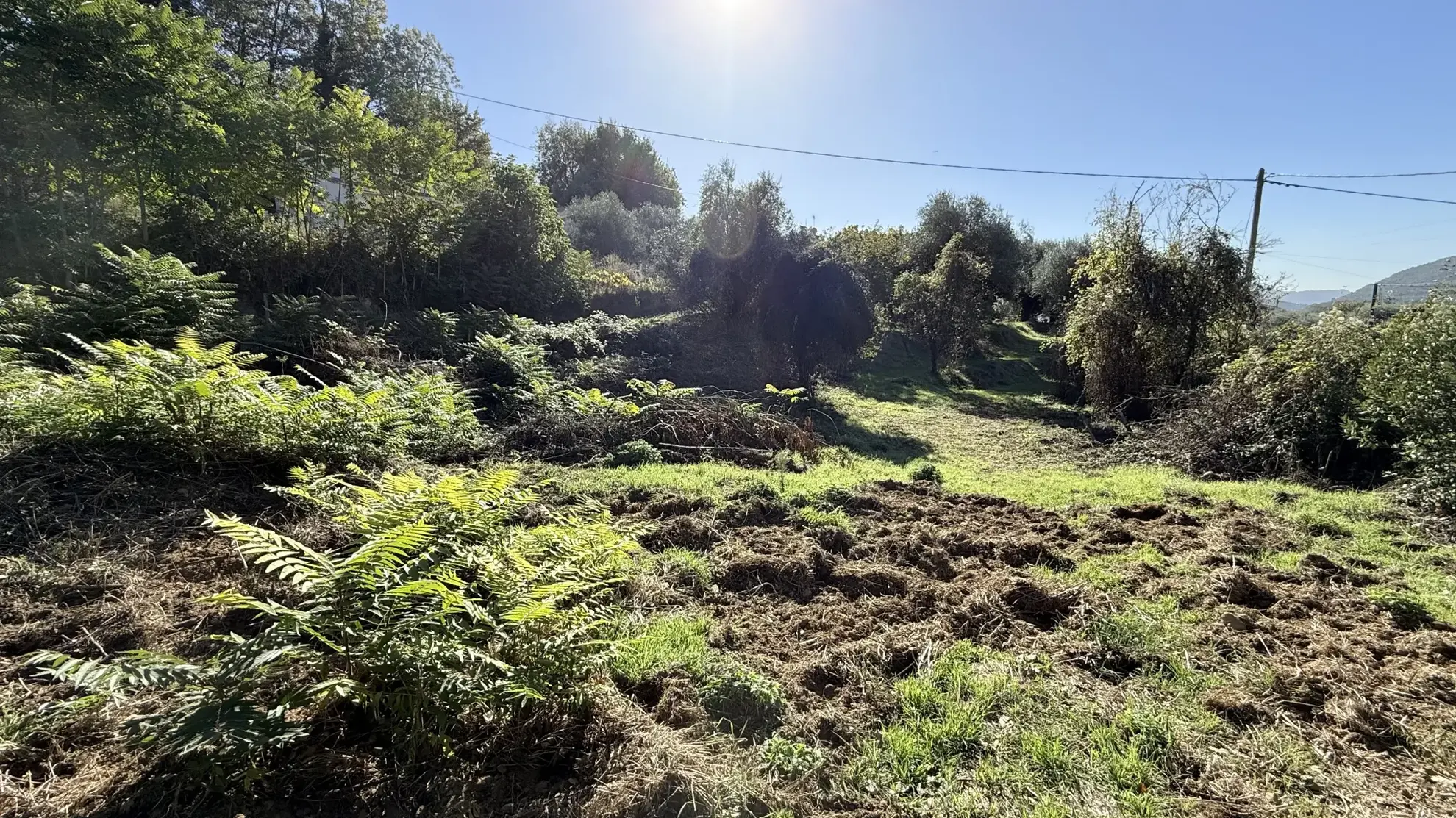 Grand terrain constructible de 1054 m² à Contes, environnement préservé, proche nature 