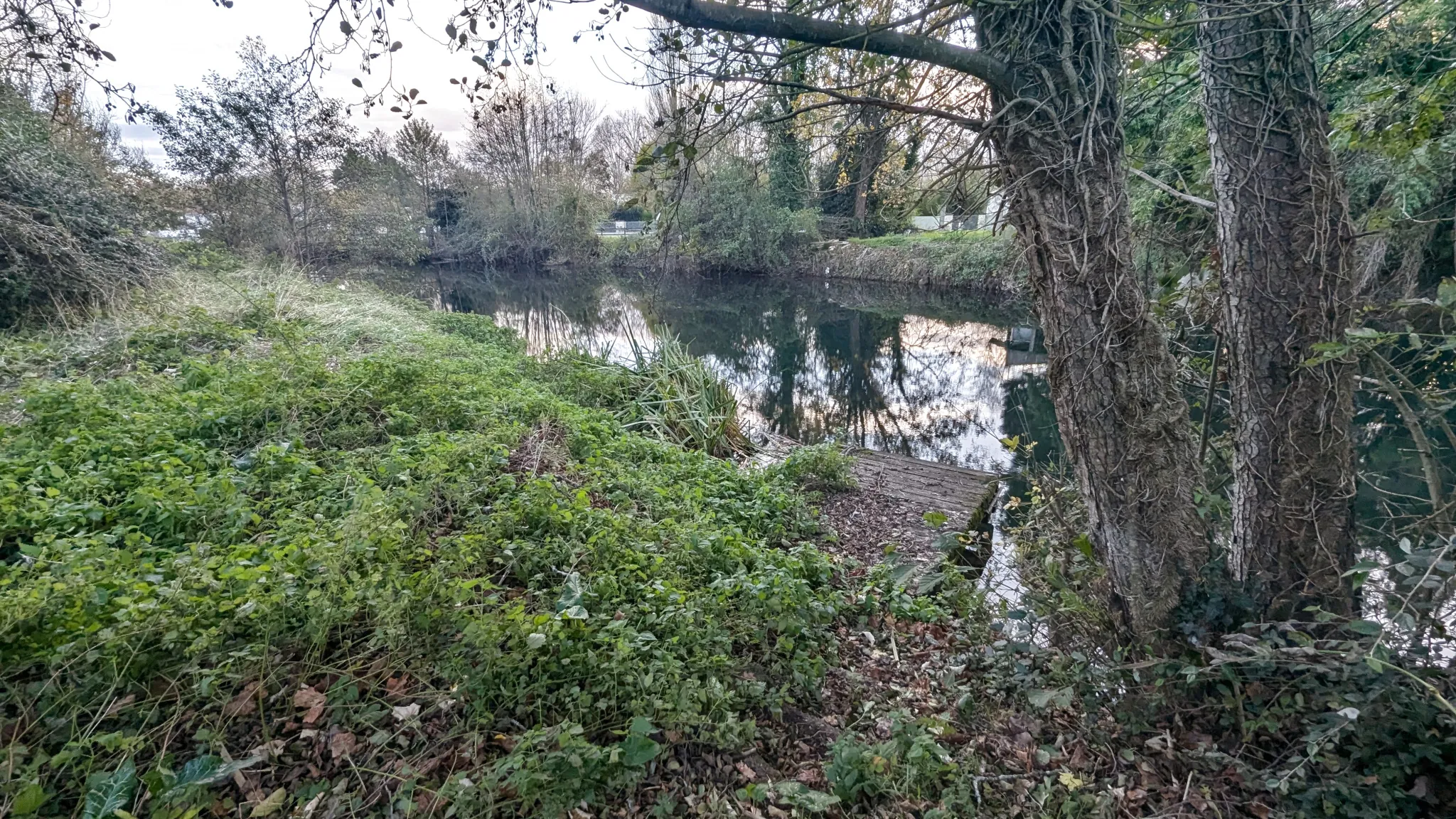 Maison à rénover avec vue sur la Sevre Niortaise à Niort - Potentiel rare 