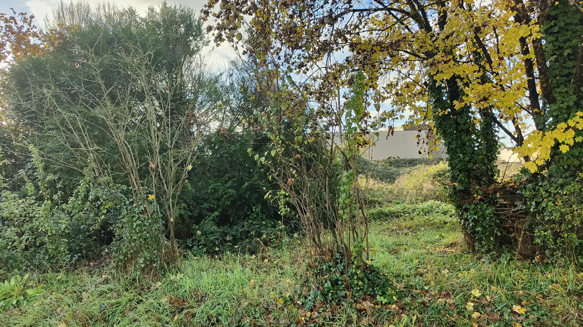 Terrain constructible de 698 m² à Langon, proximité de St Pierre d'Aurillac 