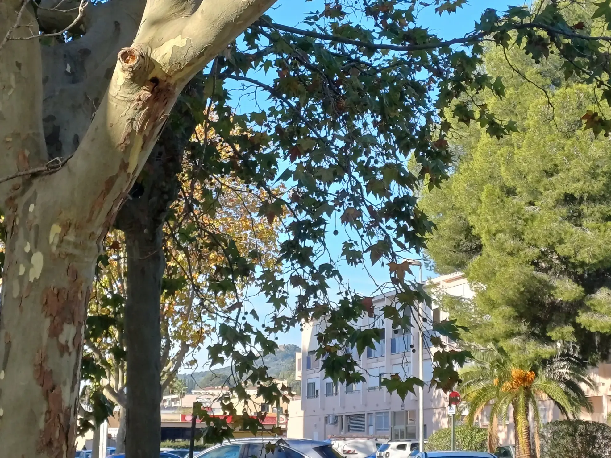 Studio lumineux rénové avec loggia à Hyères, secteur calme 