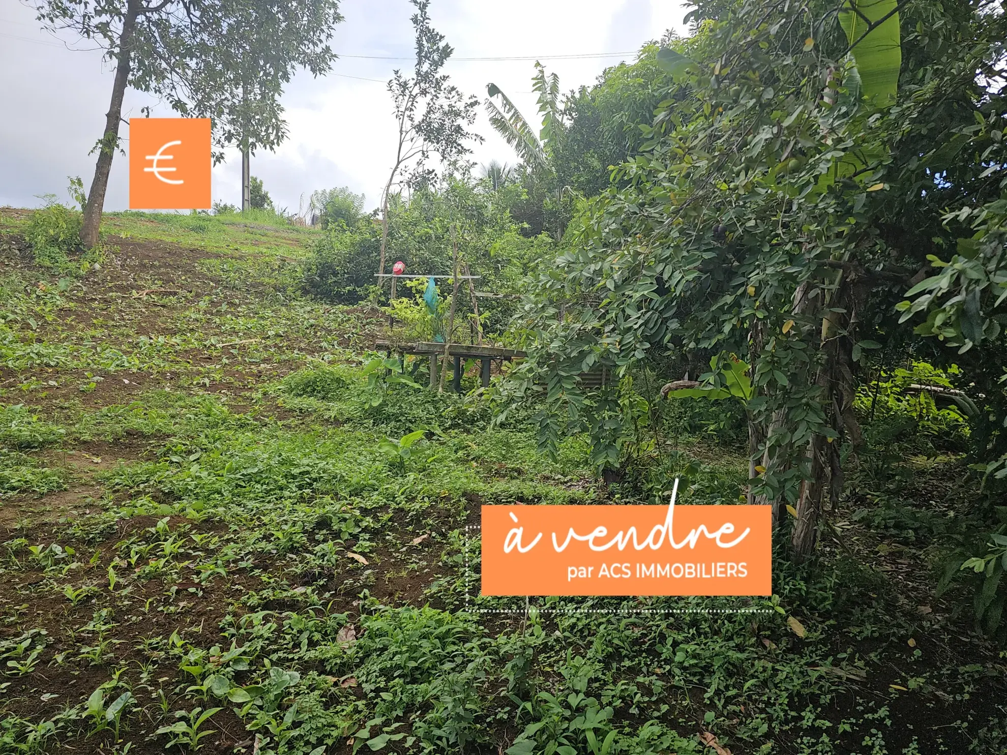 Terrain constructible de 1077 m² au Bourg du Morne des Esses à Sainte-Marie 